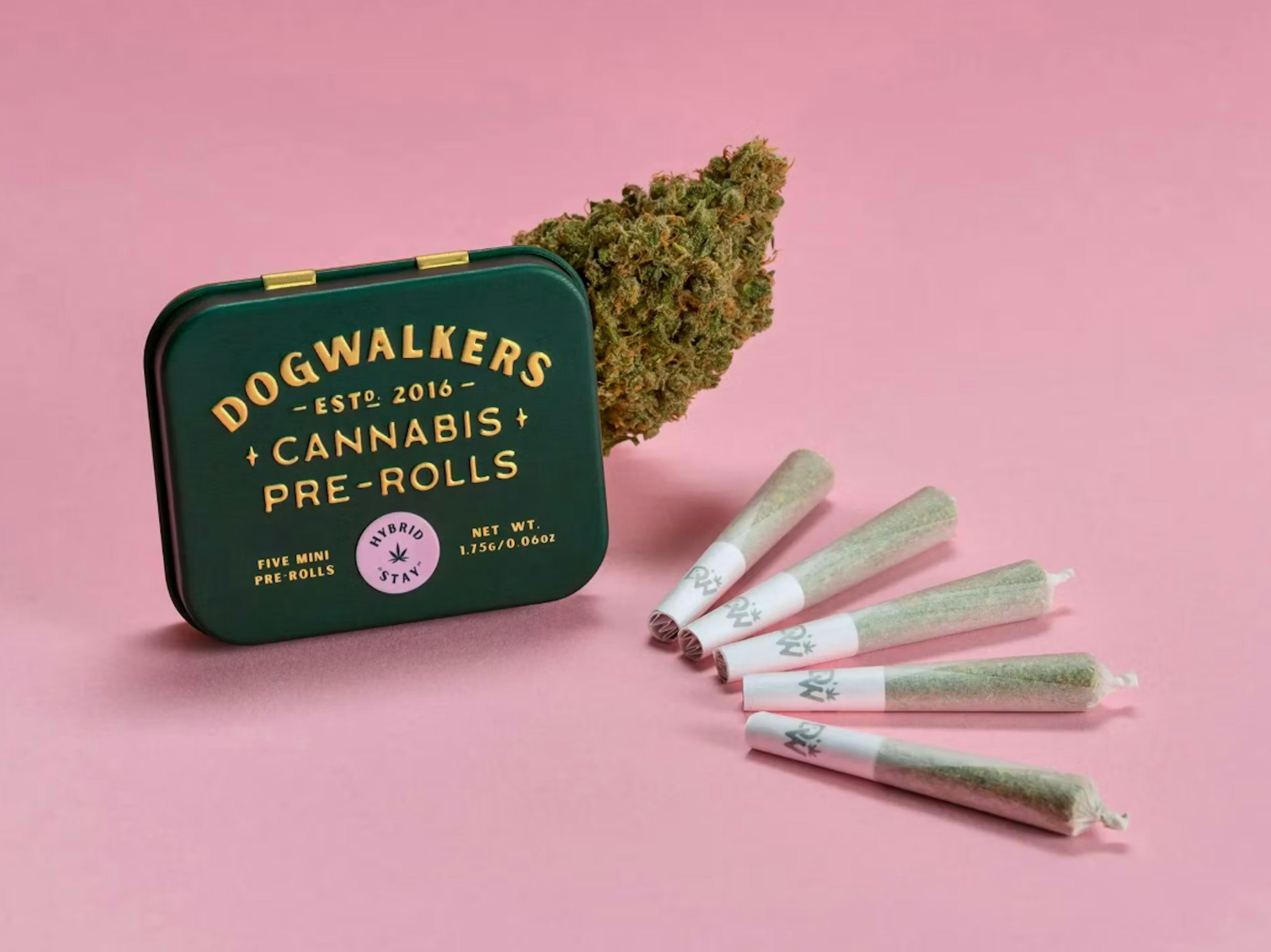 Image of JET FUEL | 5-PACK | 1.75G