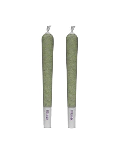 LEMON DREAM | 2-PACK | 1G