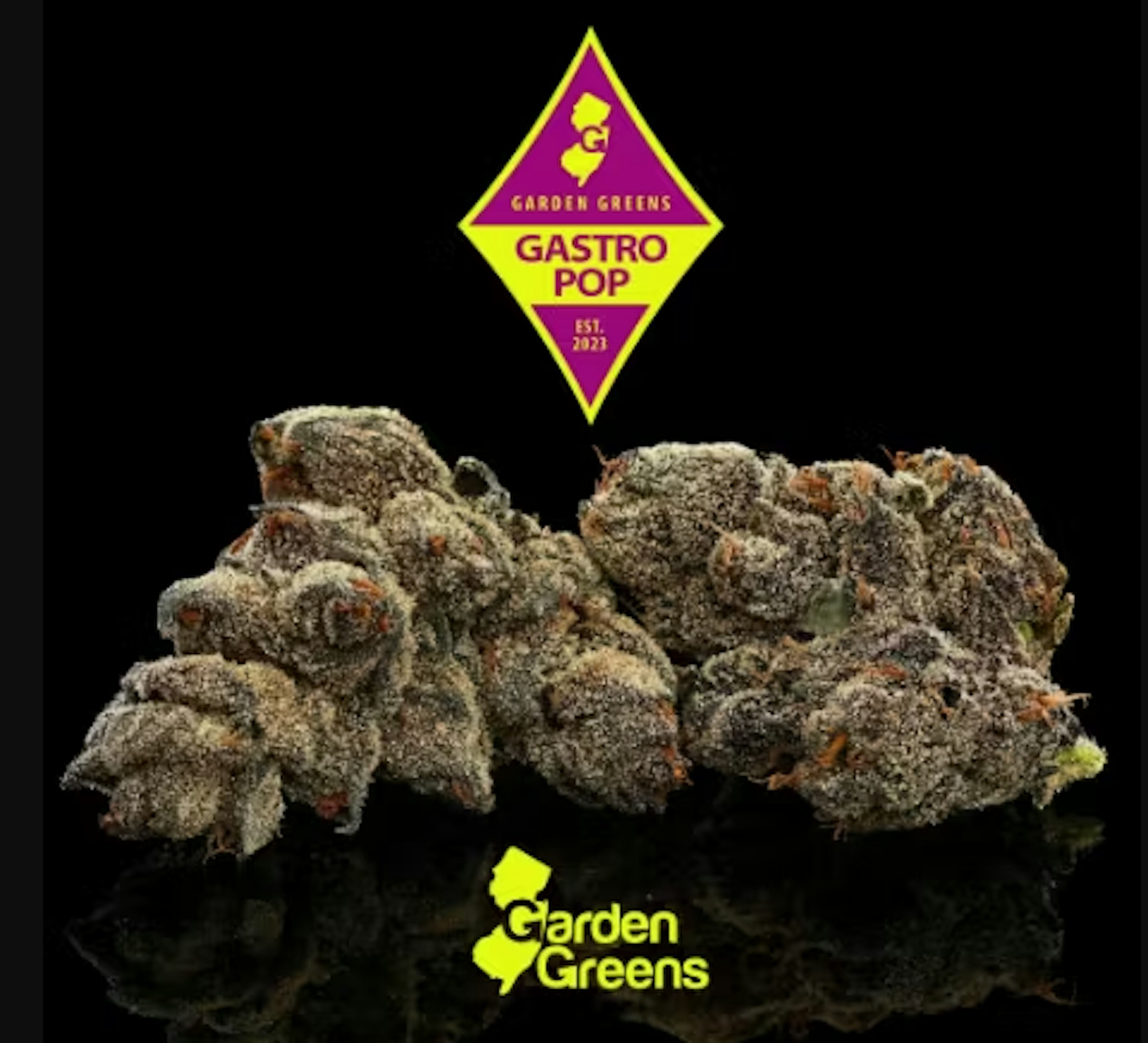 Image of GASTRO POP | 3.5G