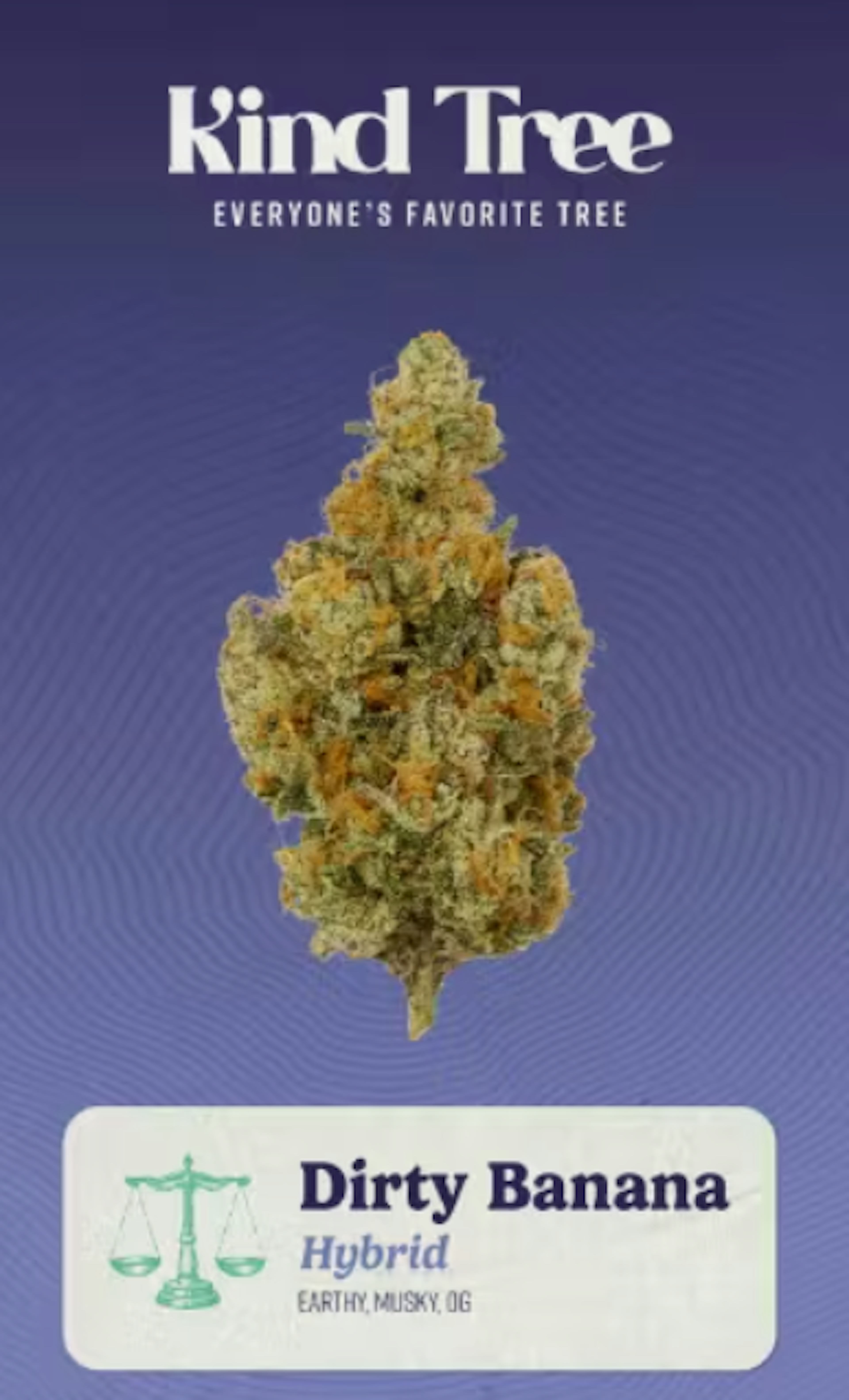 Image of DIRTY BANANA | 3.5G