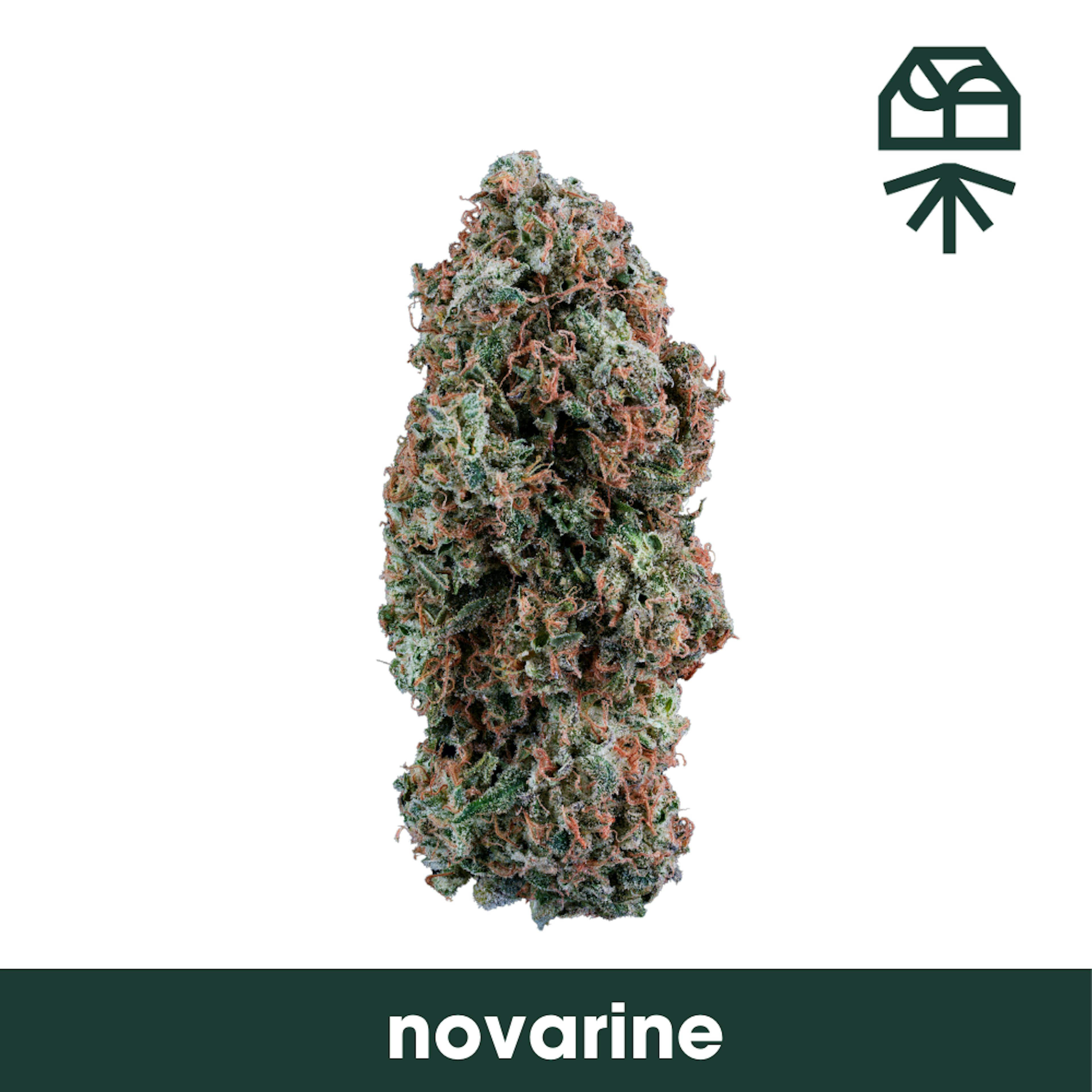 Image of NOVARINE | 3.5G WHOLE FLOWER