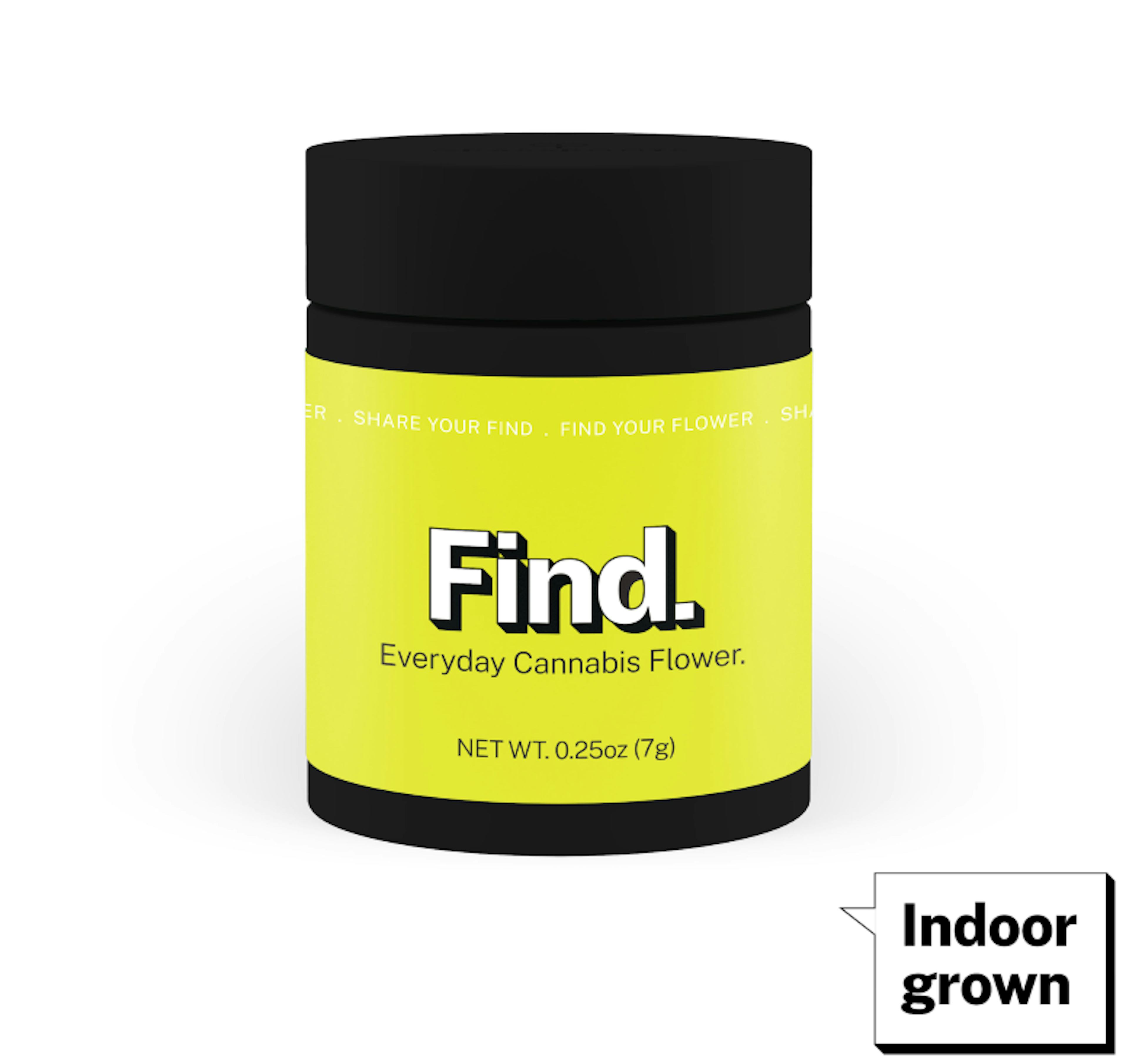 Image of MYSTERY MORNING | 7G