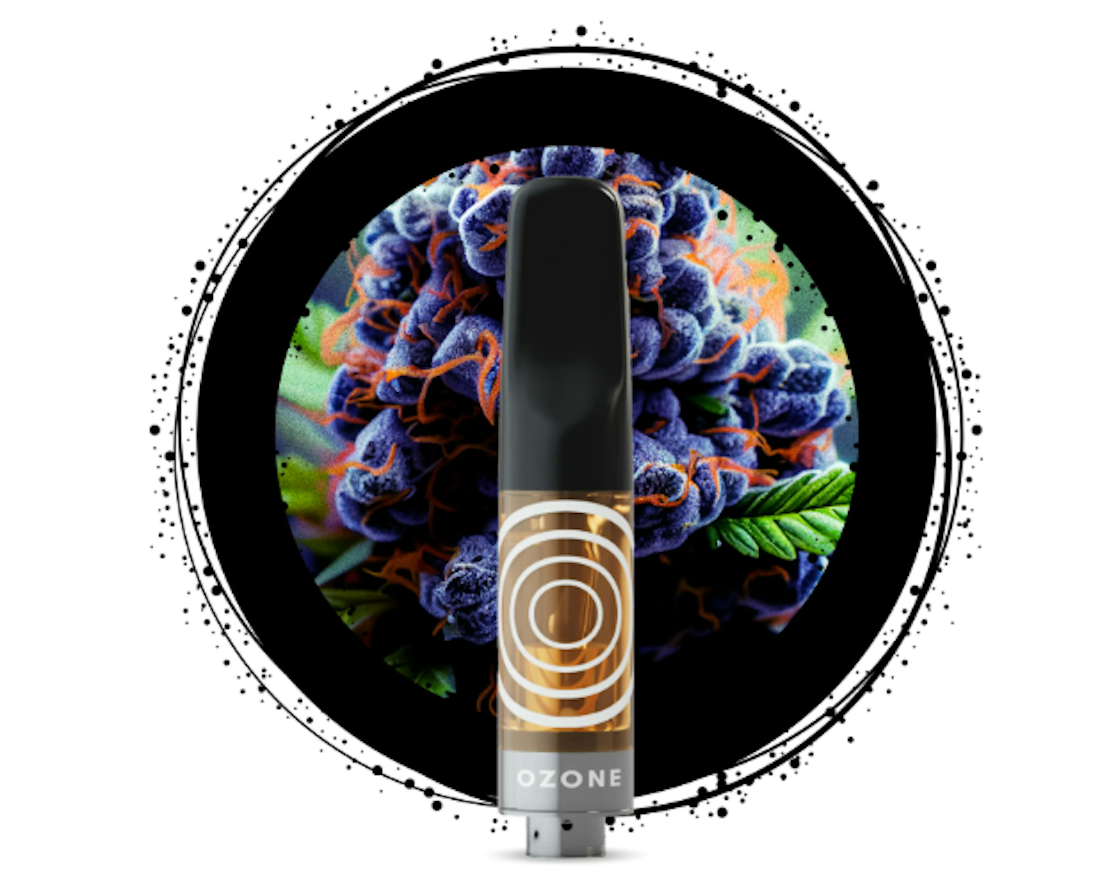 Image of BLACKBERRY KUSH | 0.5G