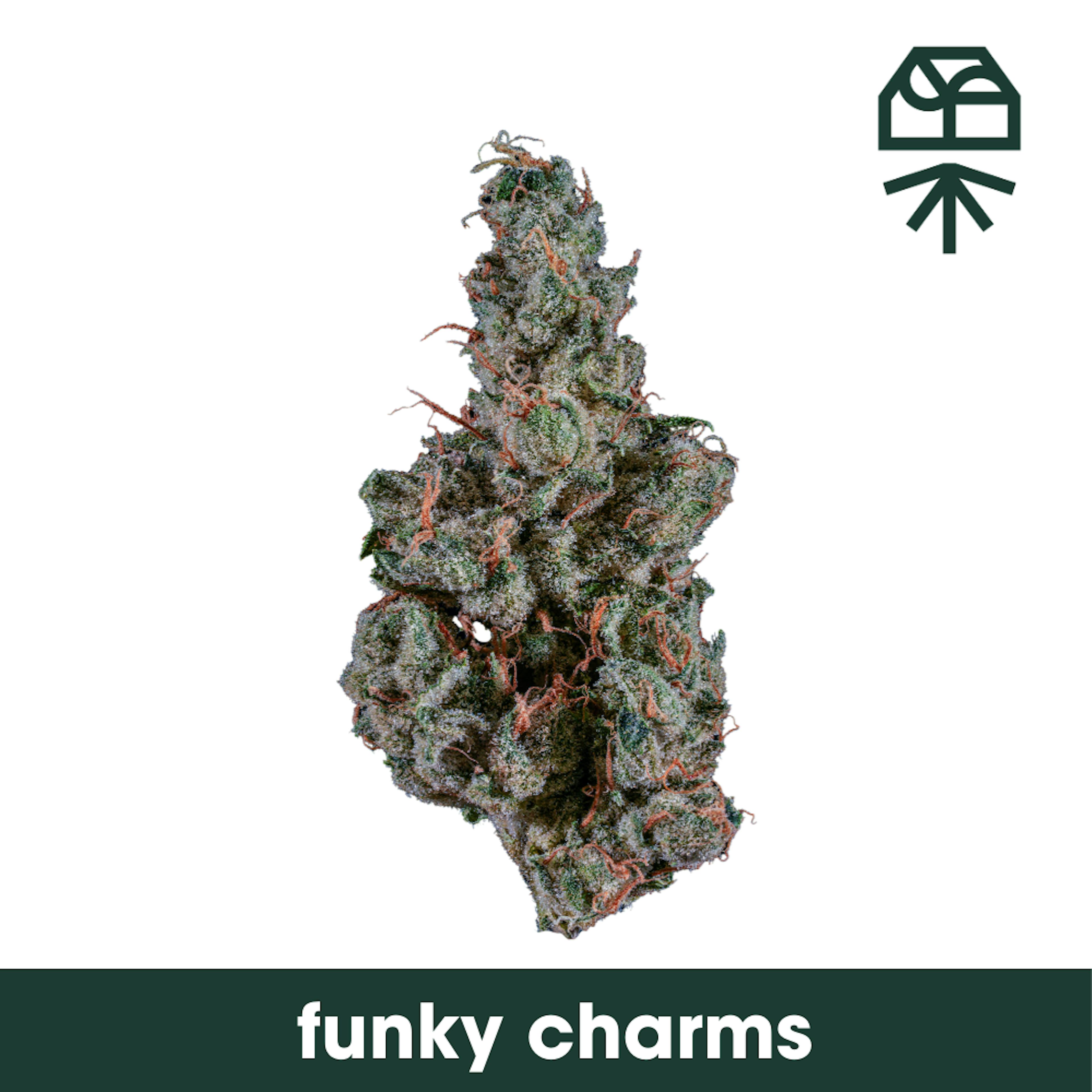Image of FUNKY CHARMS | SMALLS | 7G