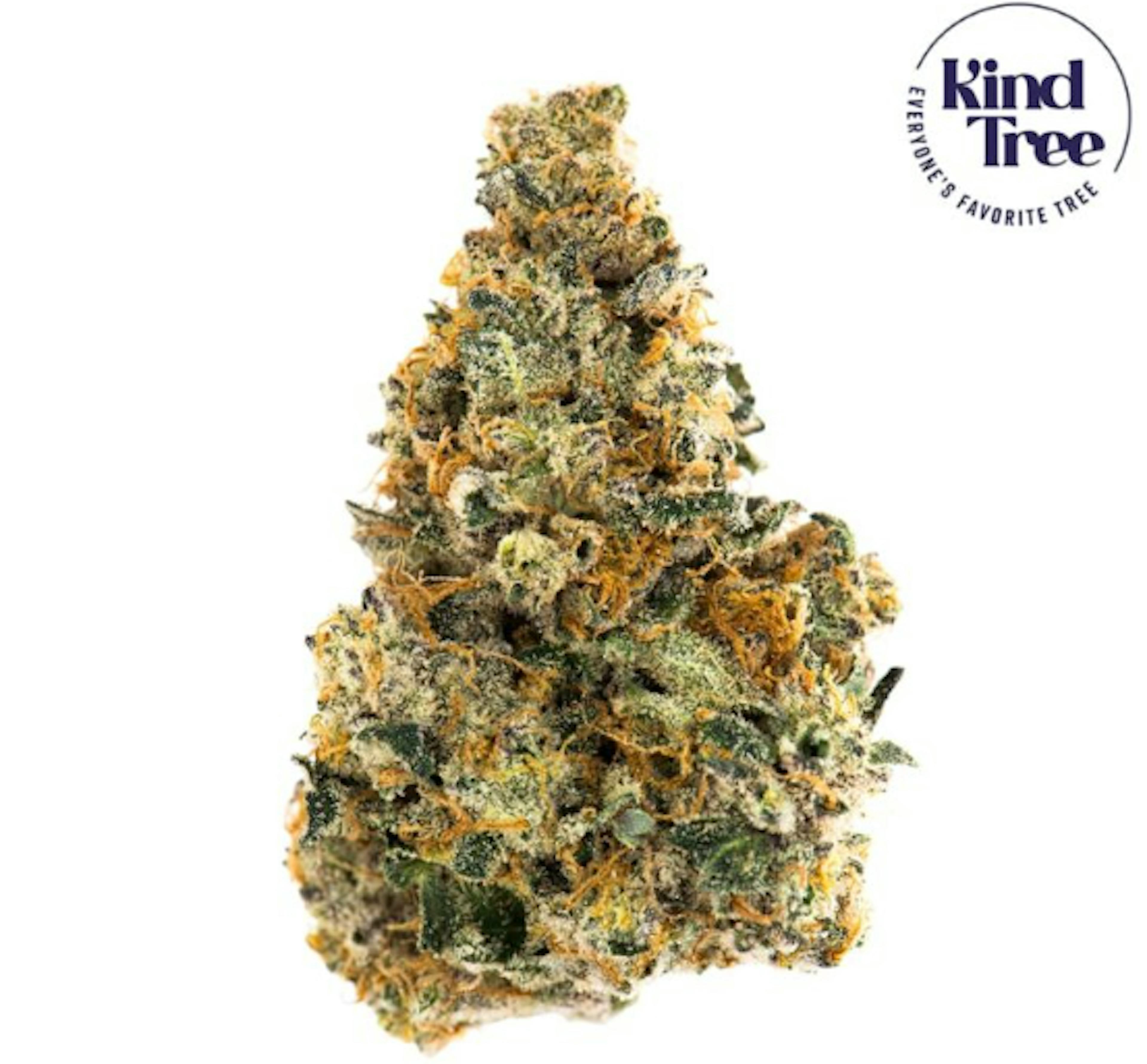 Image of COLLAB #13 | 3.5G