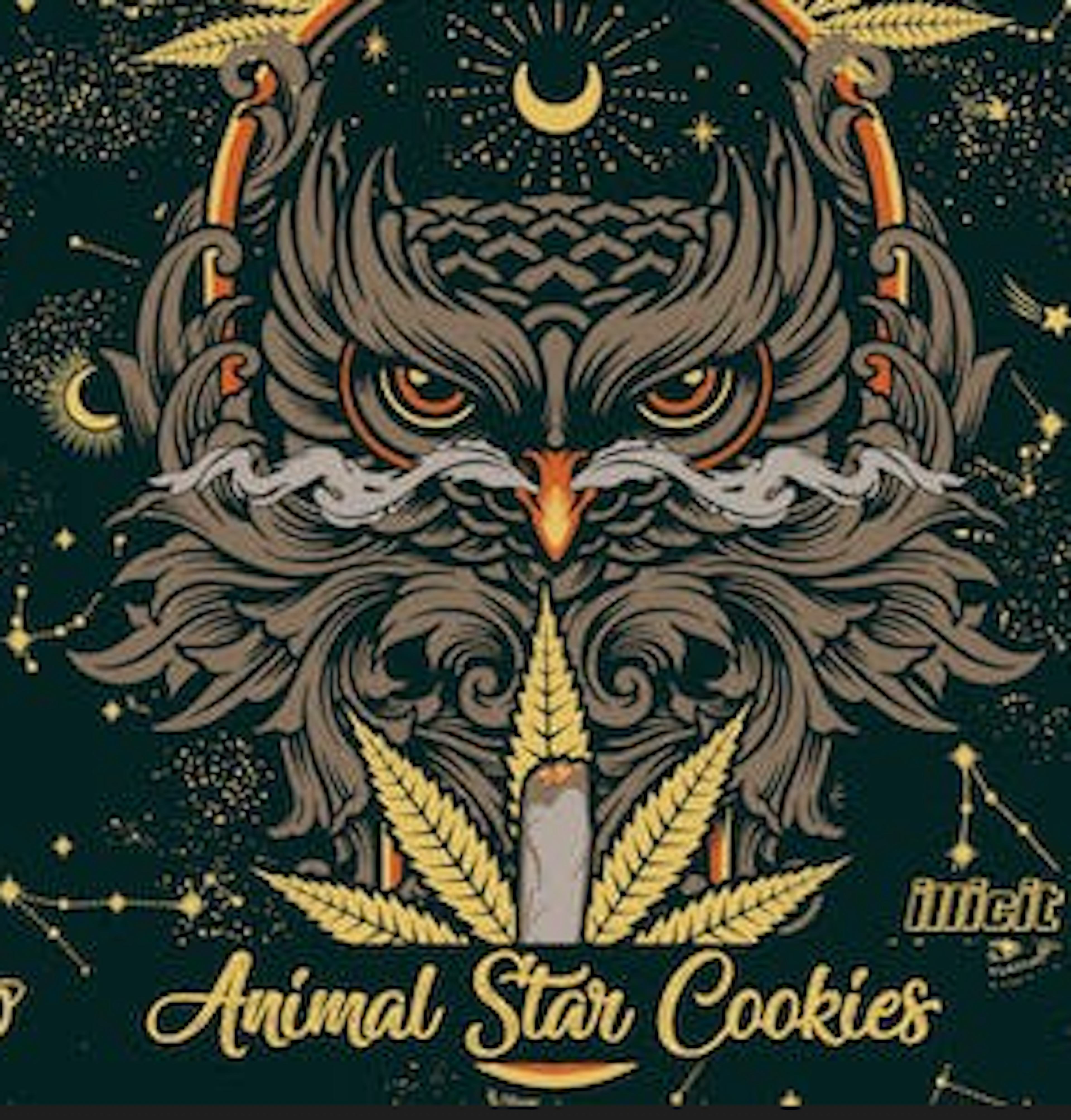 Image of ANIMAL STAR COOKIES | PREMIUM POPCORN | 7G