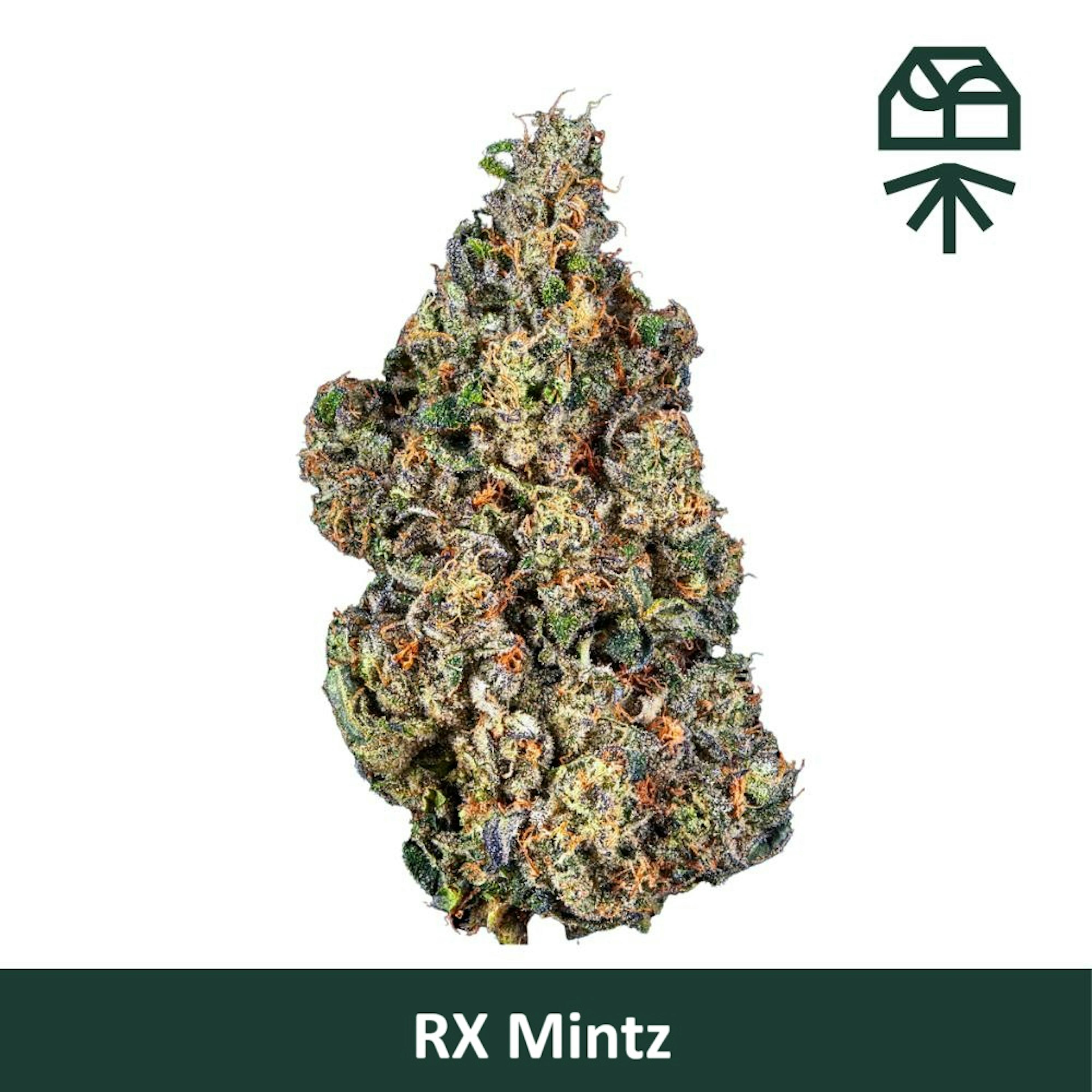 Image of RX MINTZ | 3.5G WHOLE FLOWER