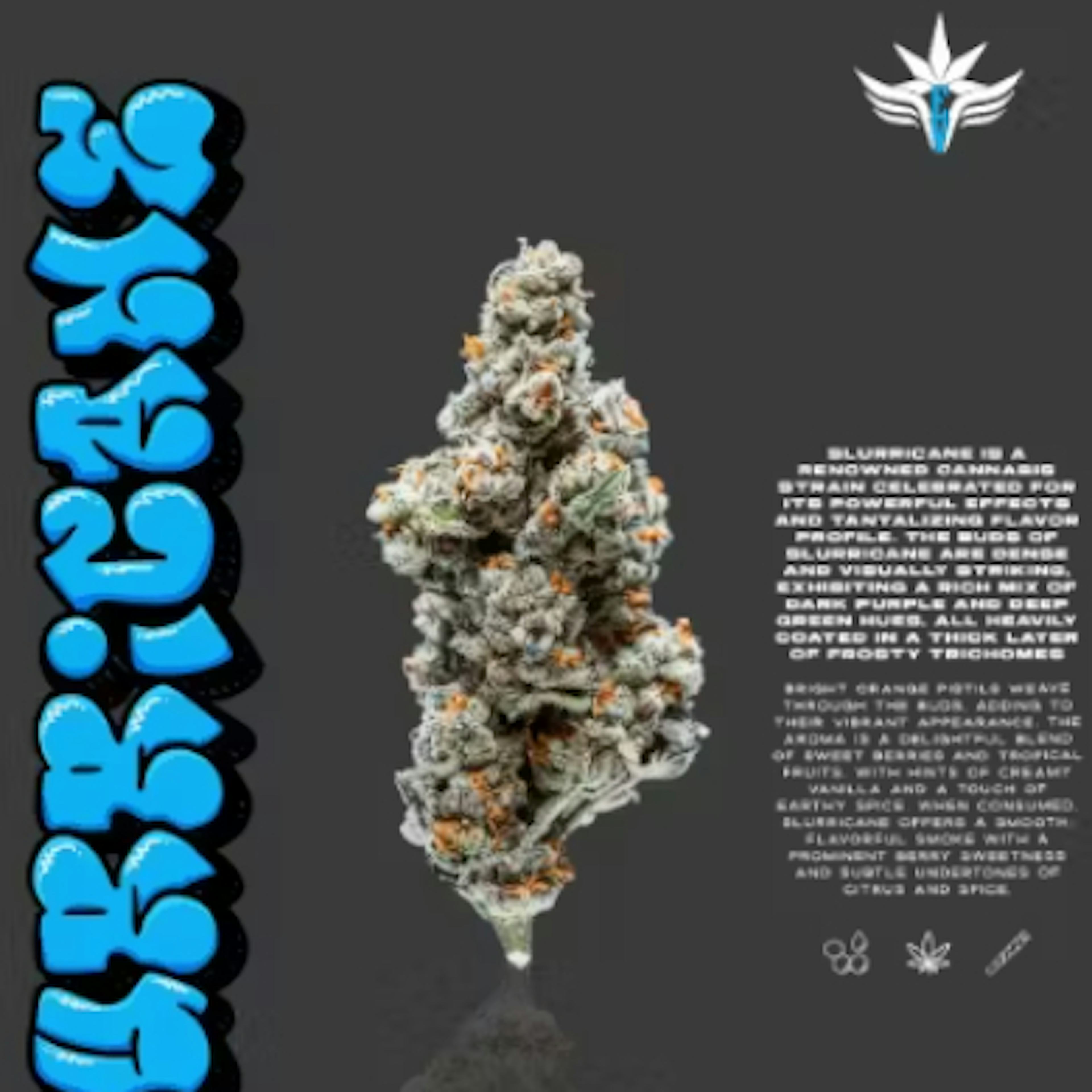 Image of SLURRICAINE | 2 PACK