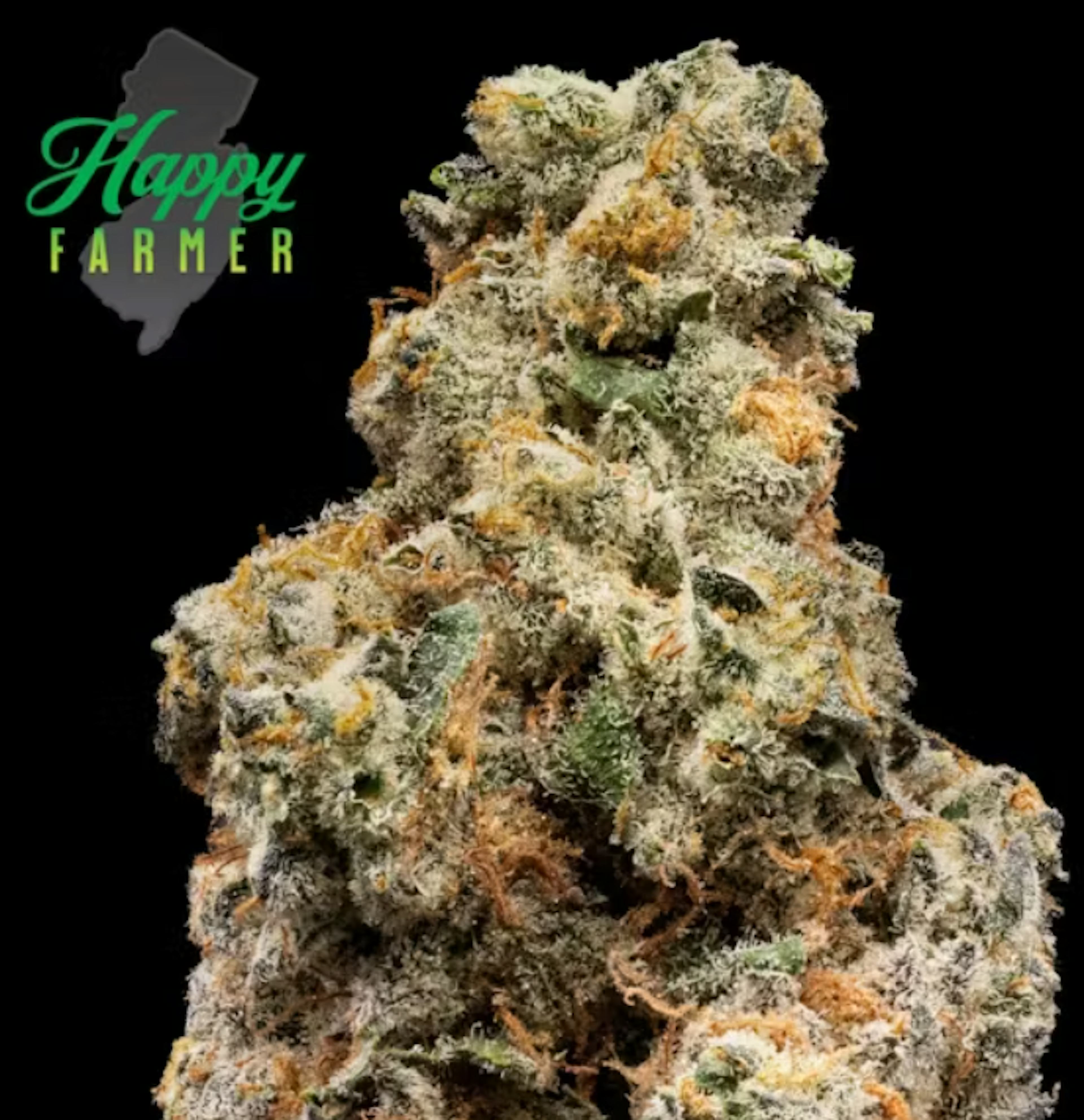 Image of GUNPOWDER MILKSHAKE | 3.5G