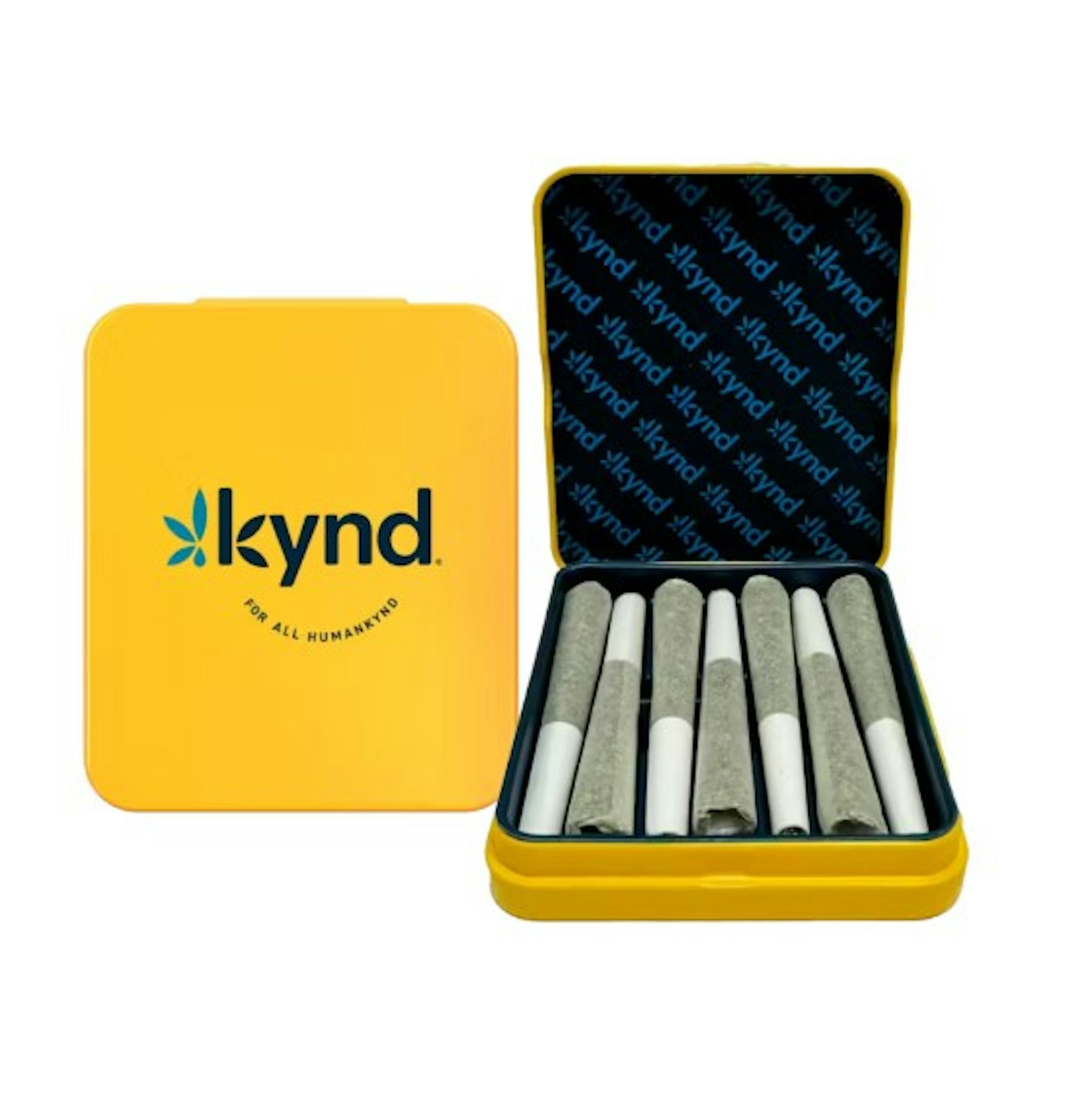 Image of POINSETTIA FIZZ | 0.5G | 7PK