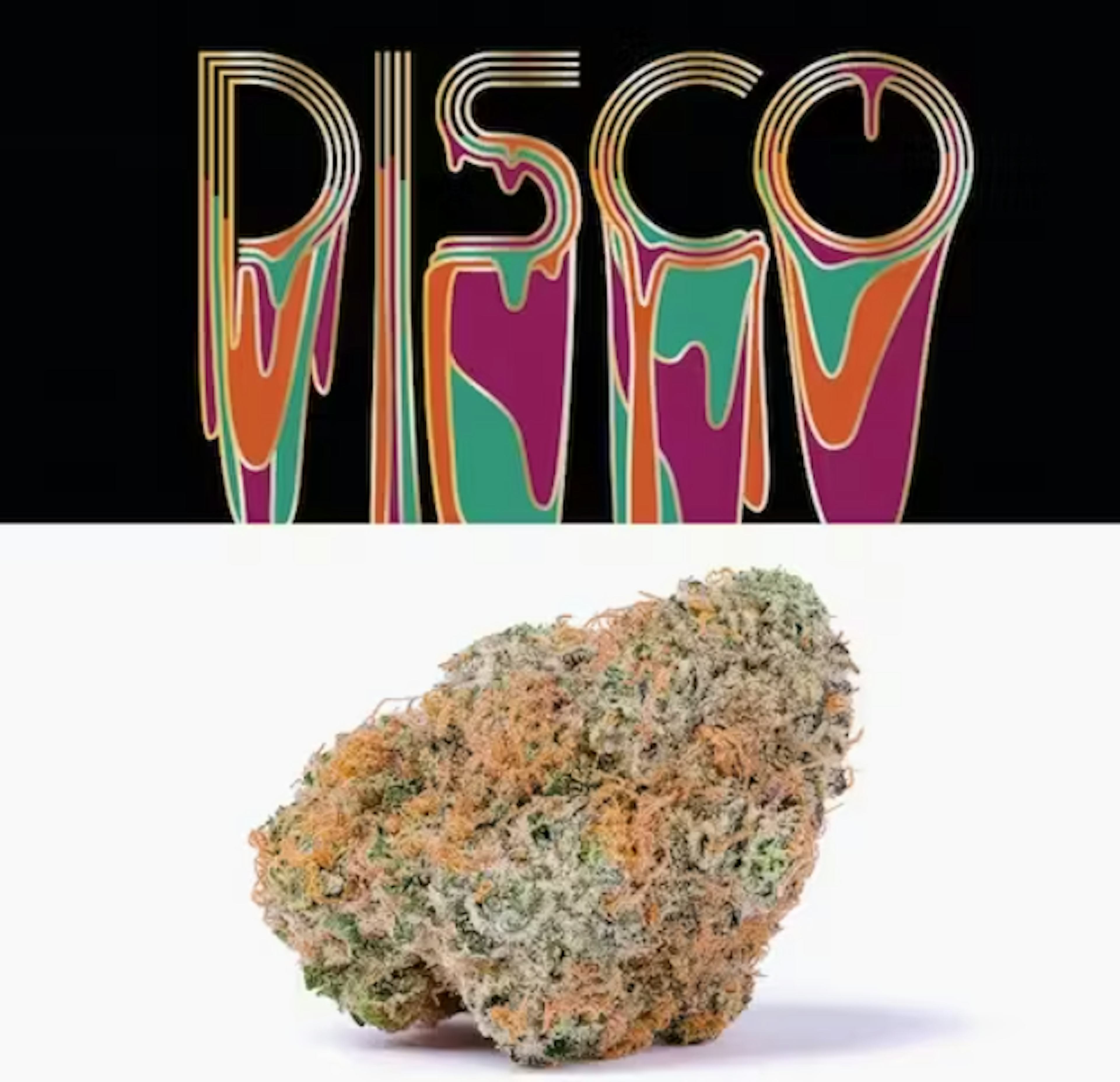 Image of DISCO | 3.5G