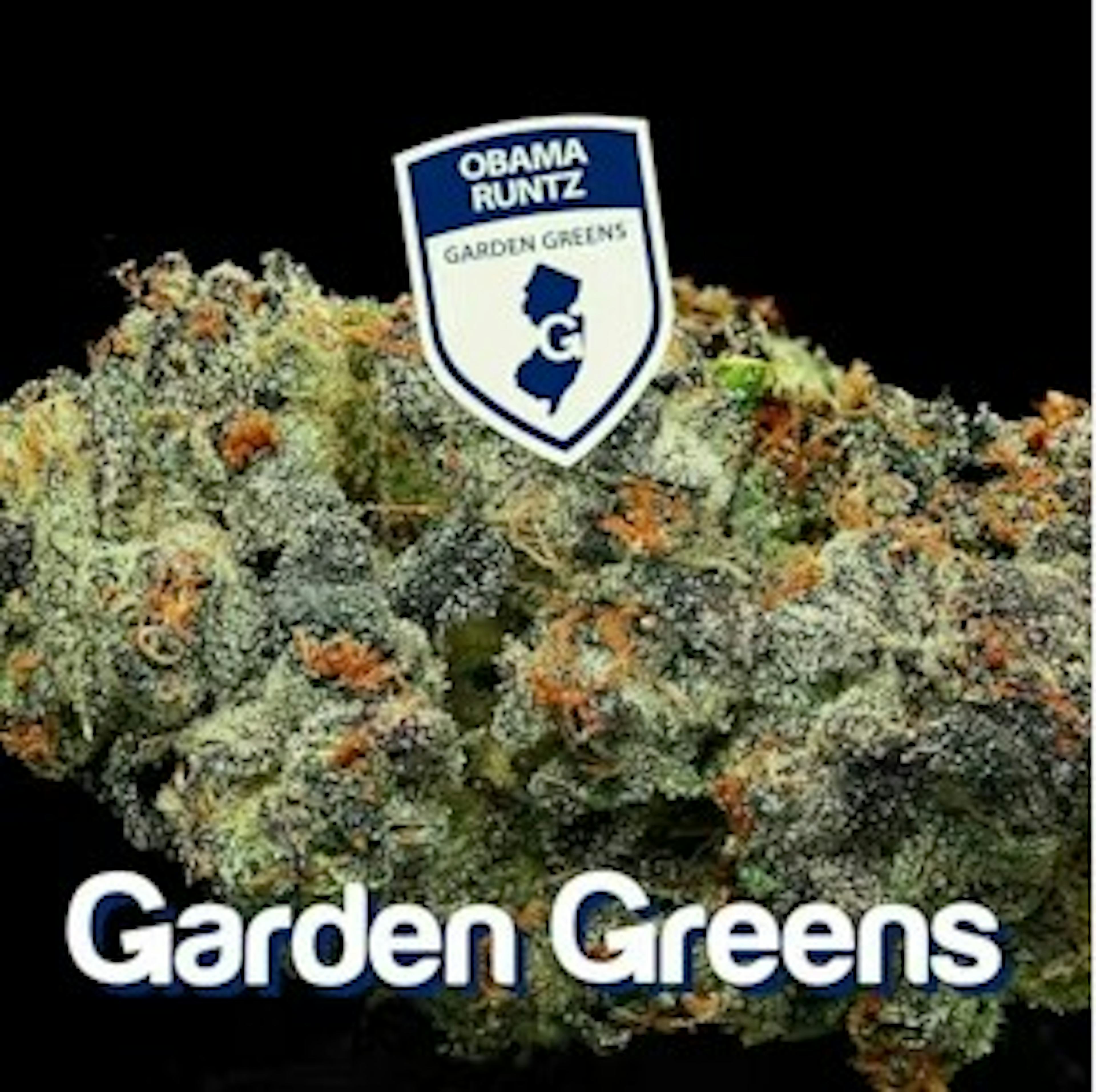 Image of OBAMA RUNTZ | 3.5G