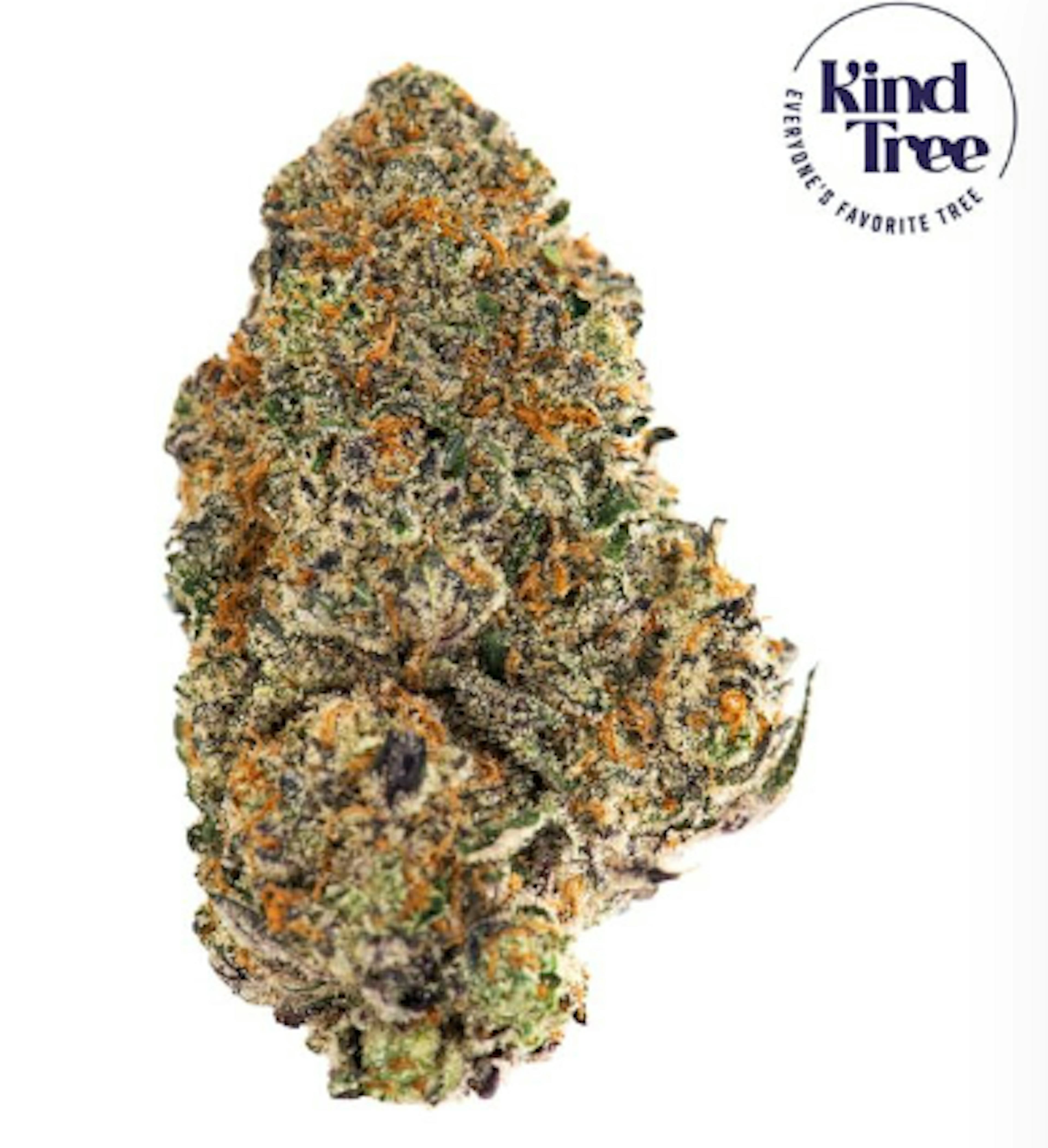 Image of APPLE CRISP | 3.5G