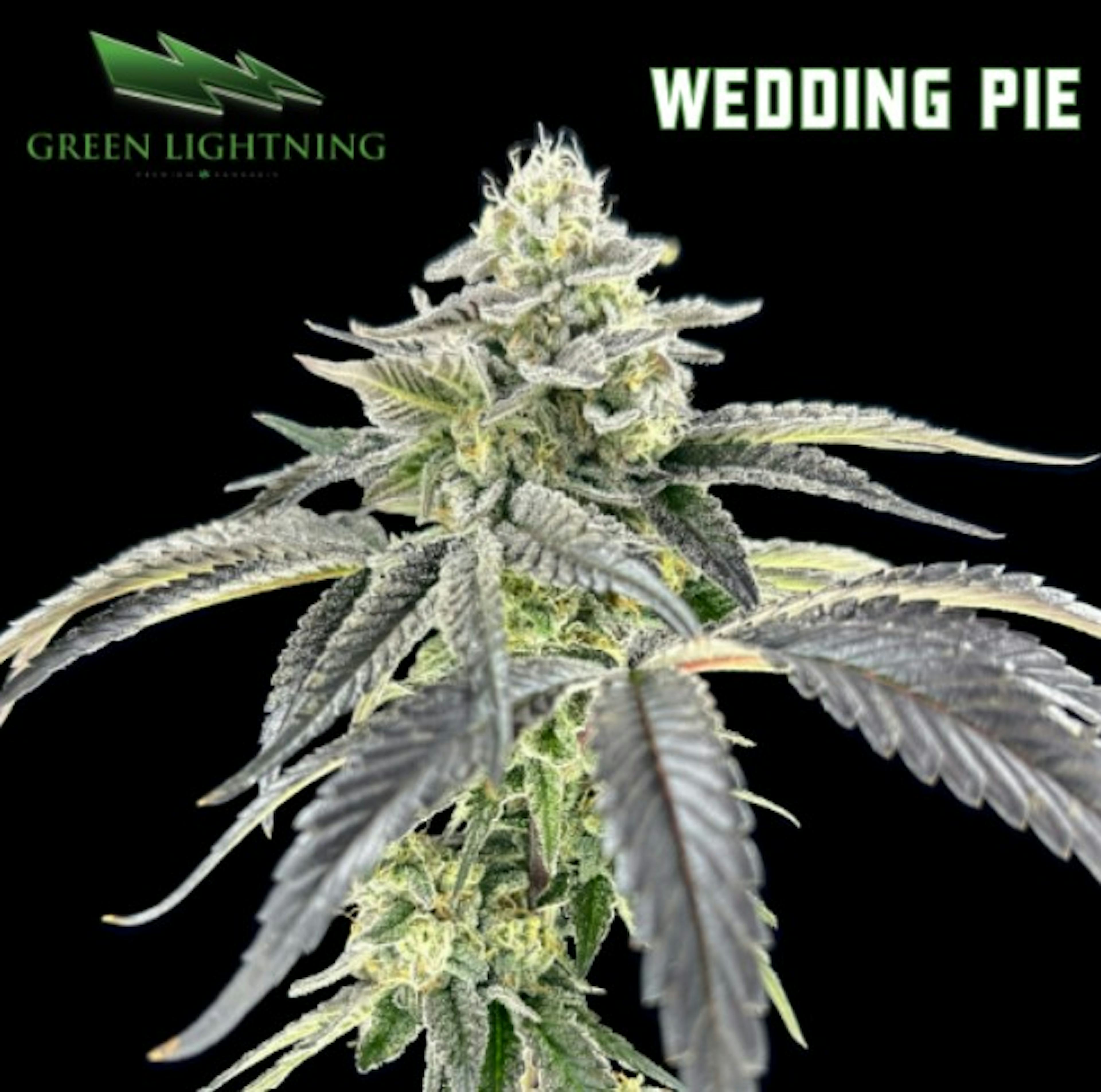 Image of WEDDING PIE | 3.5G