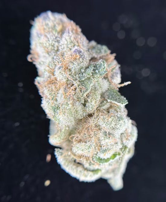 CHIMAX | 7G