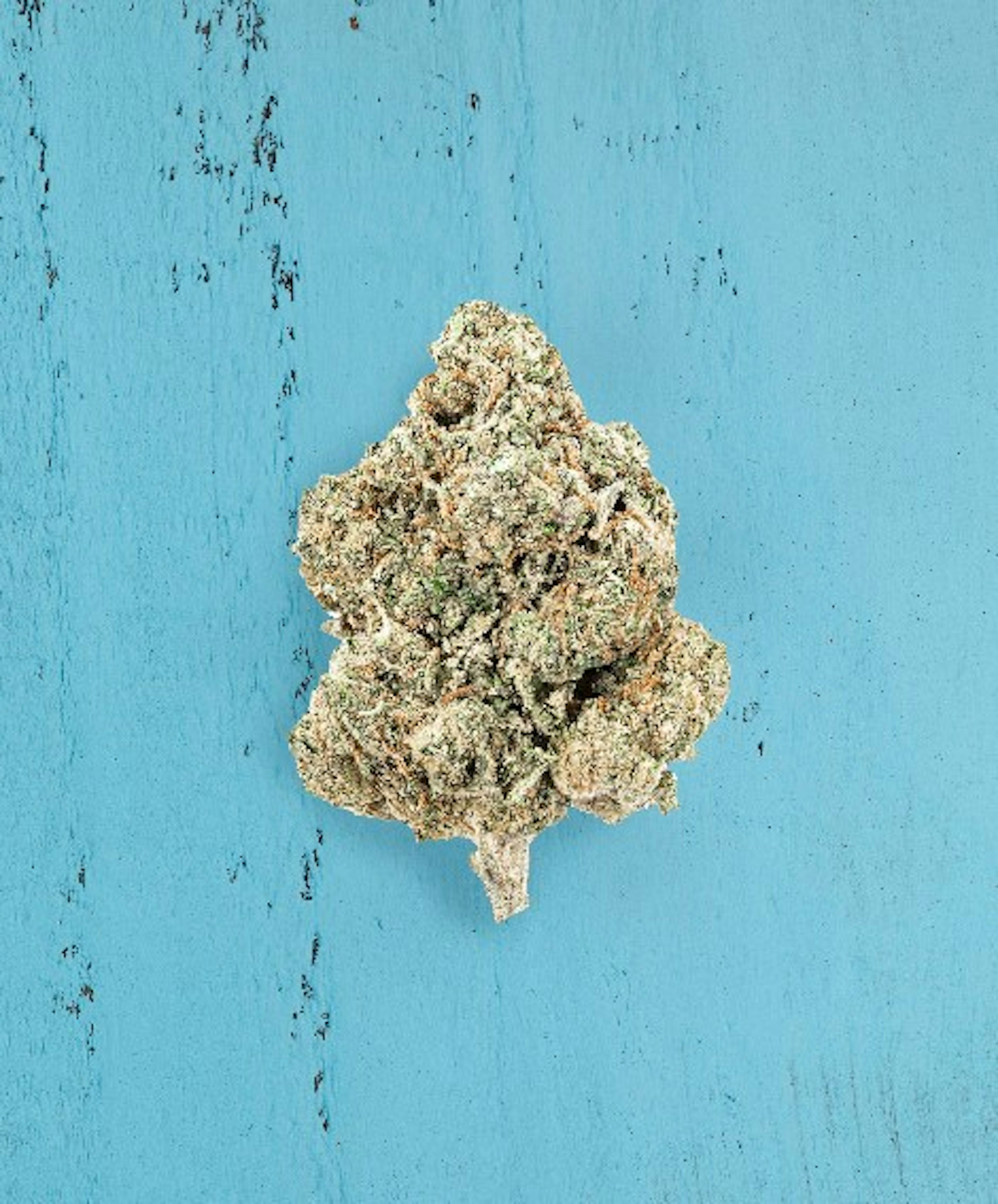 Image of SOUR TANGIE | 7G | MIXED BUDS