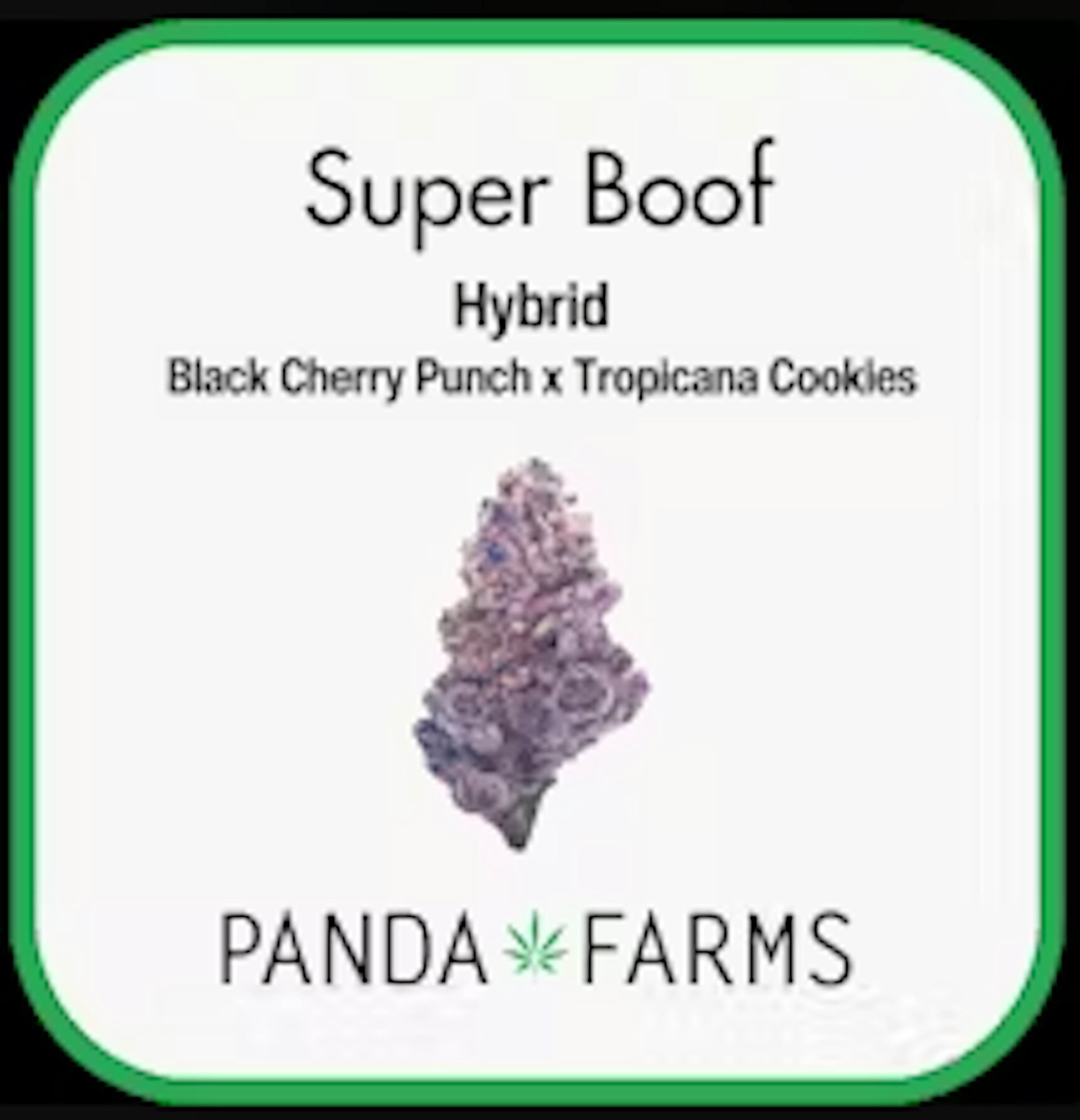 Image of SUPER BOOF | 3.5G | FLOWER