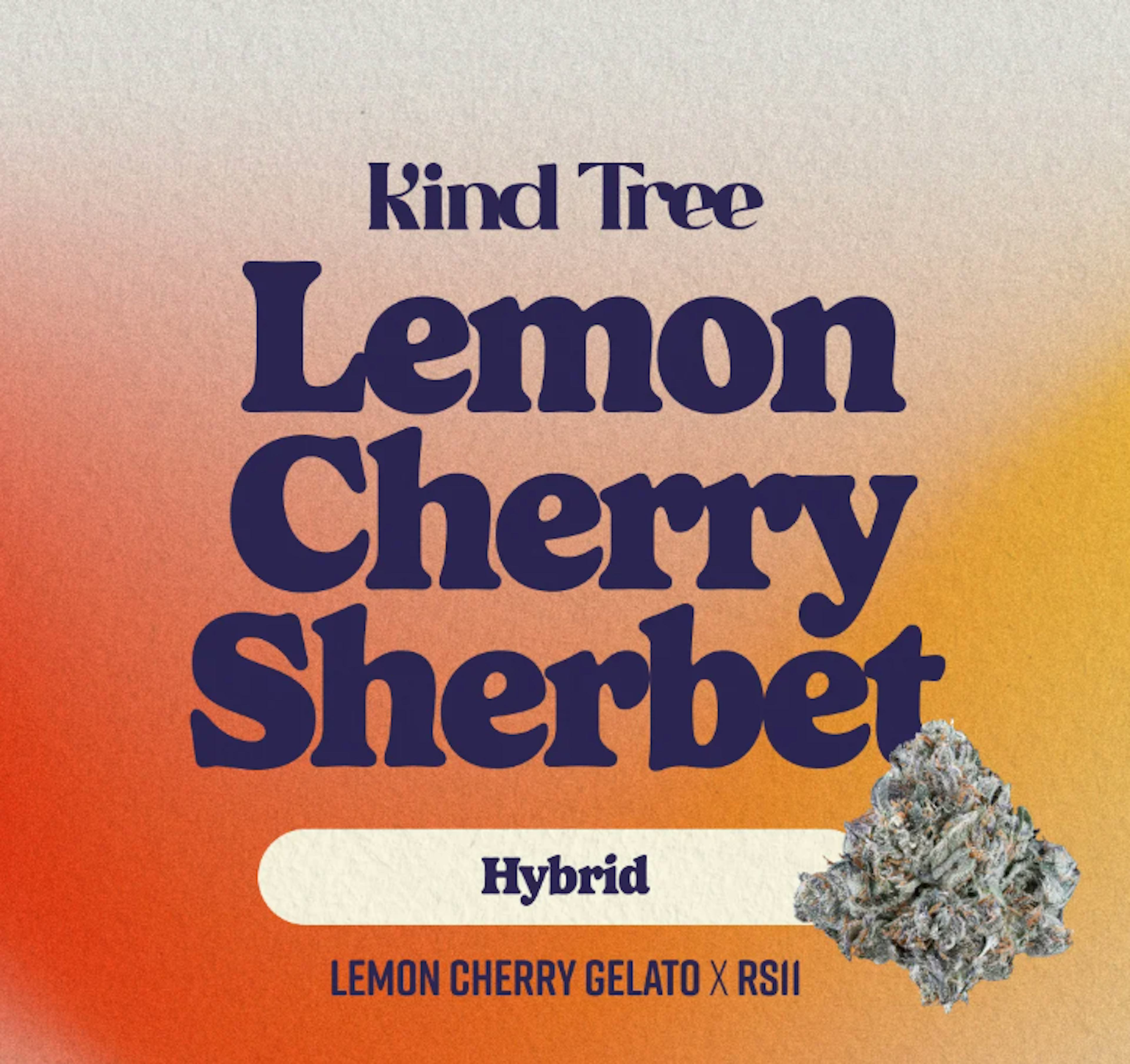 Image of LEMON CHERRY SHERBERT | 3.5G