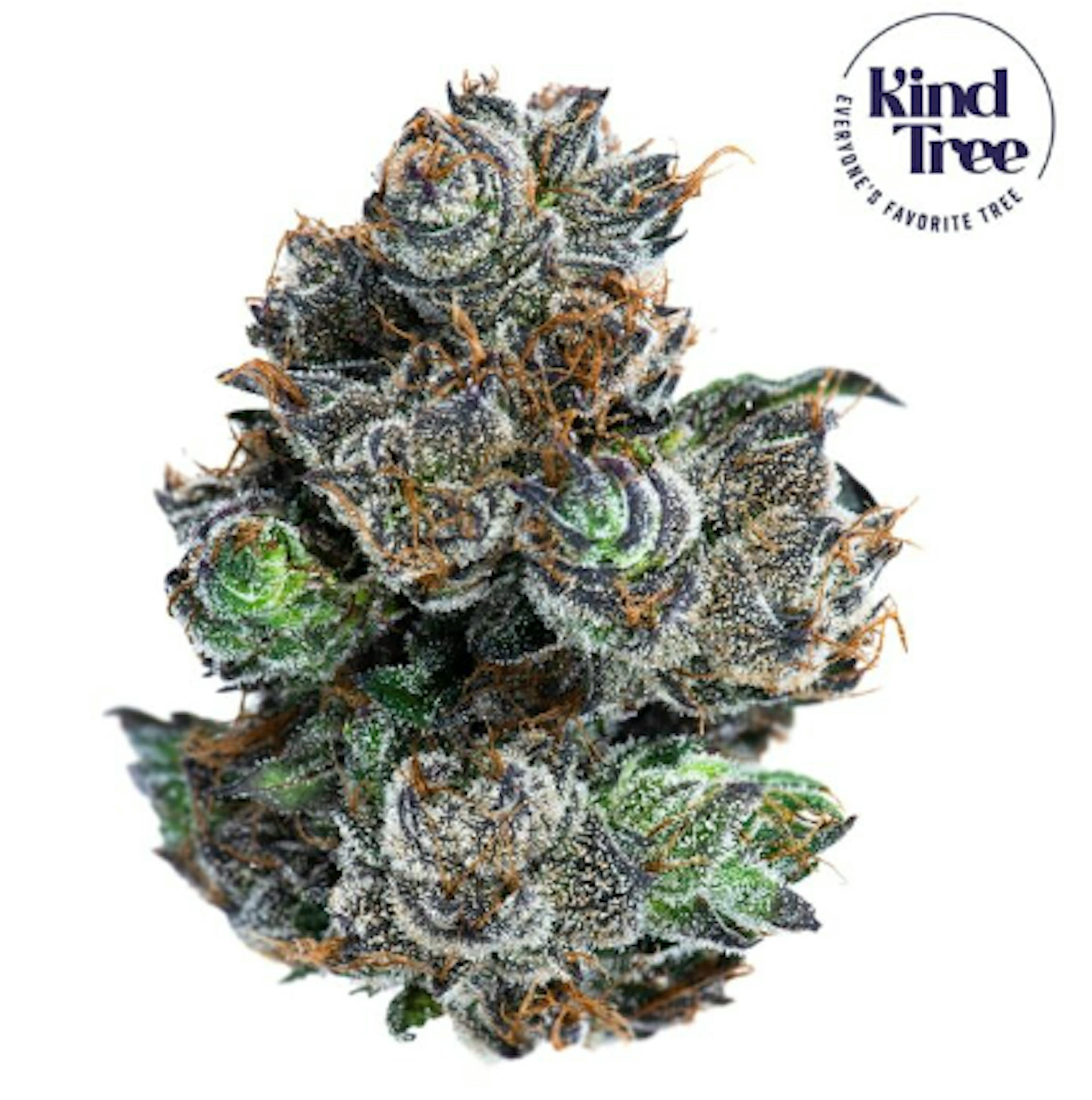 Image of MR. TEENY | 3.5G