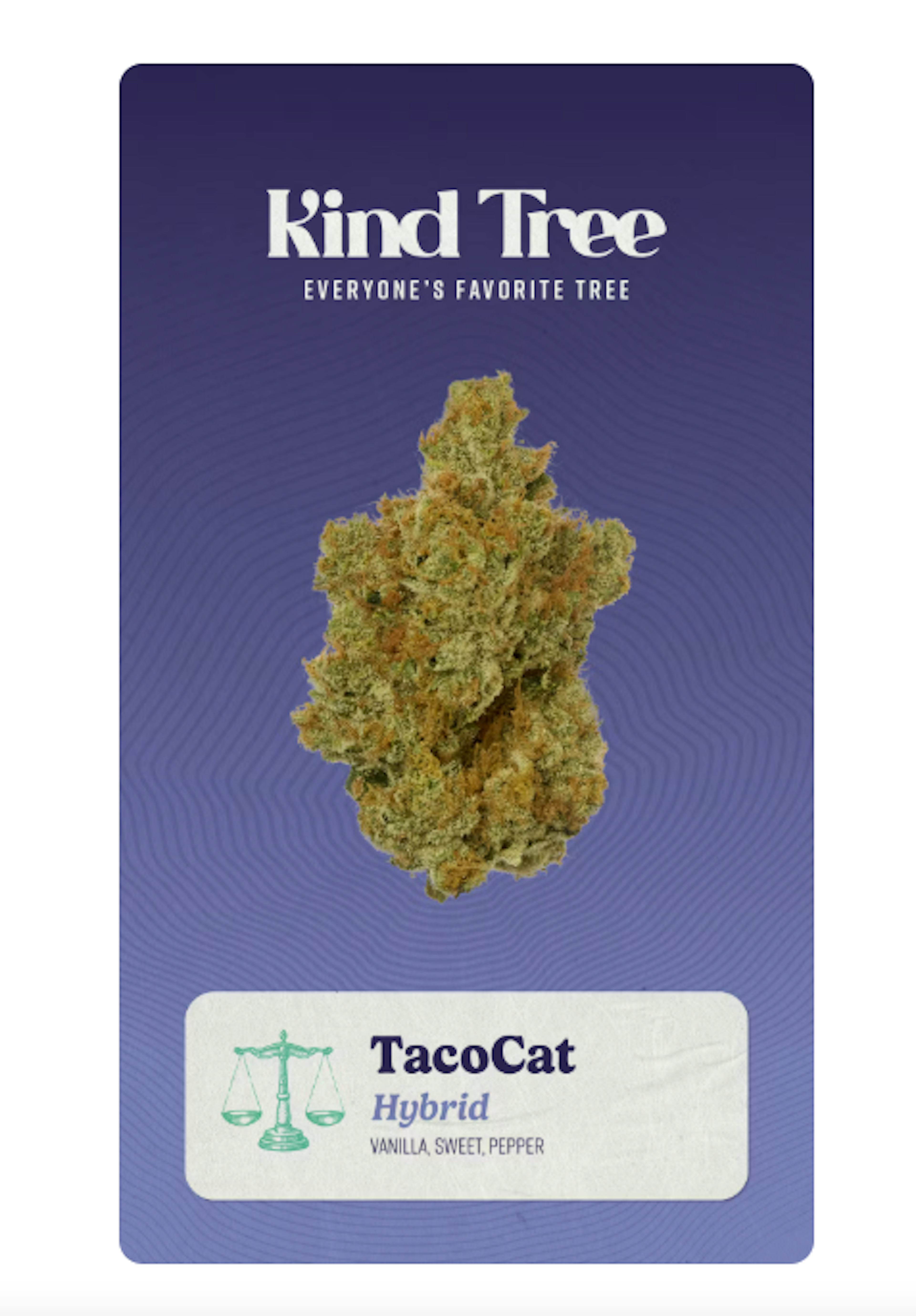 Image of TACOCAT | 3.5G |  BUDS