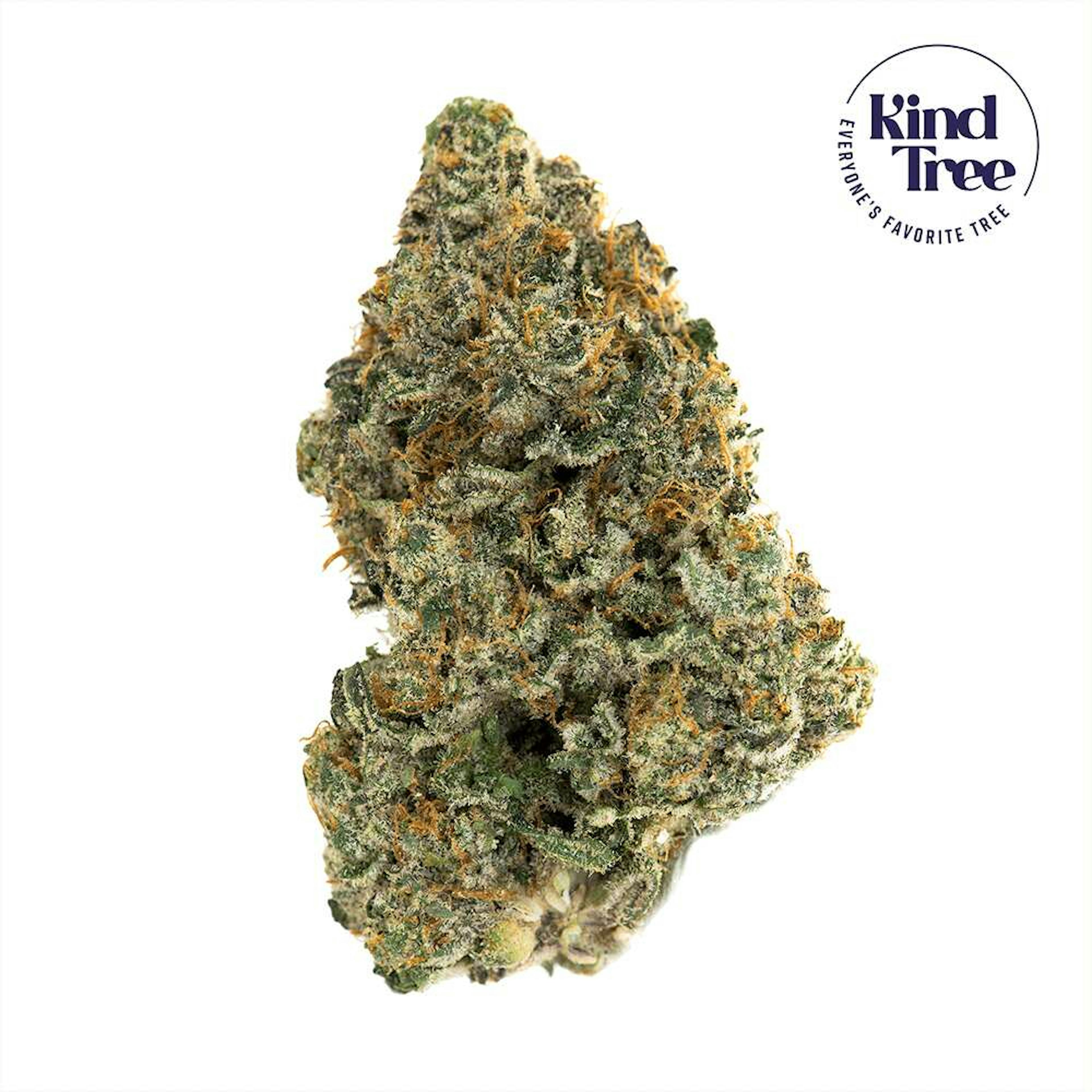 Image of LEMON DREAM | 3.5G