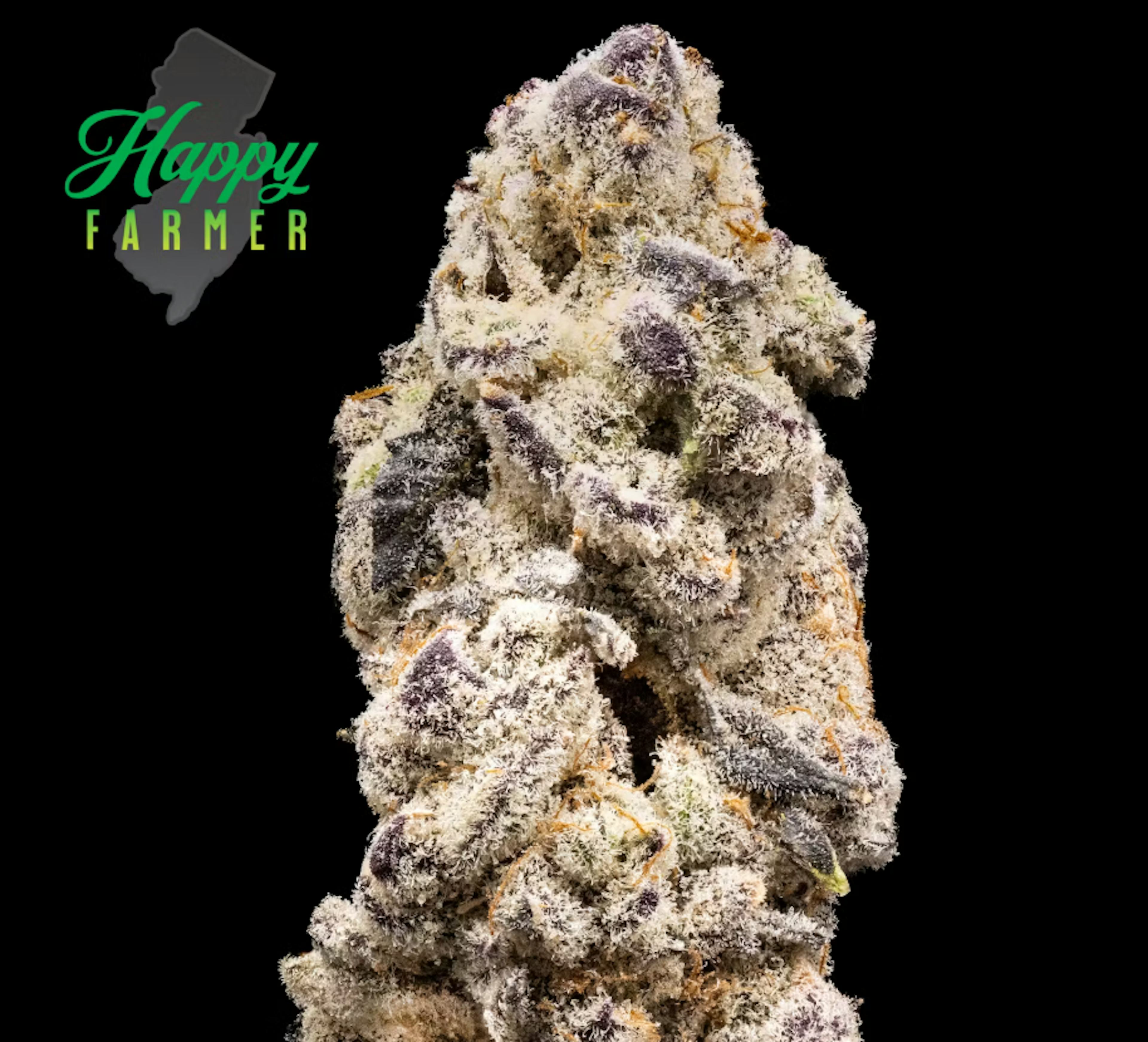 Image of SPACE LUBE | 3.5G