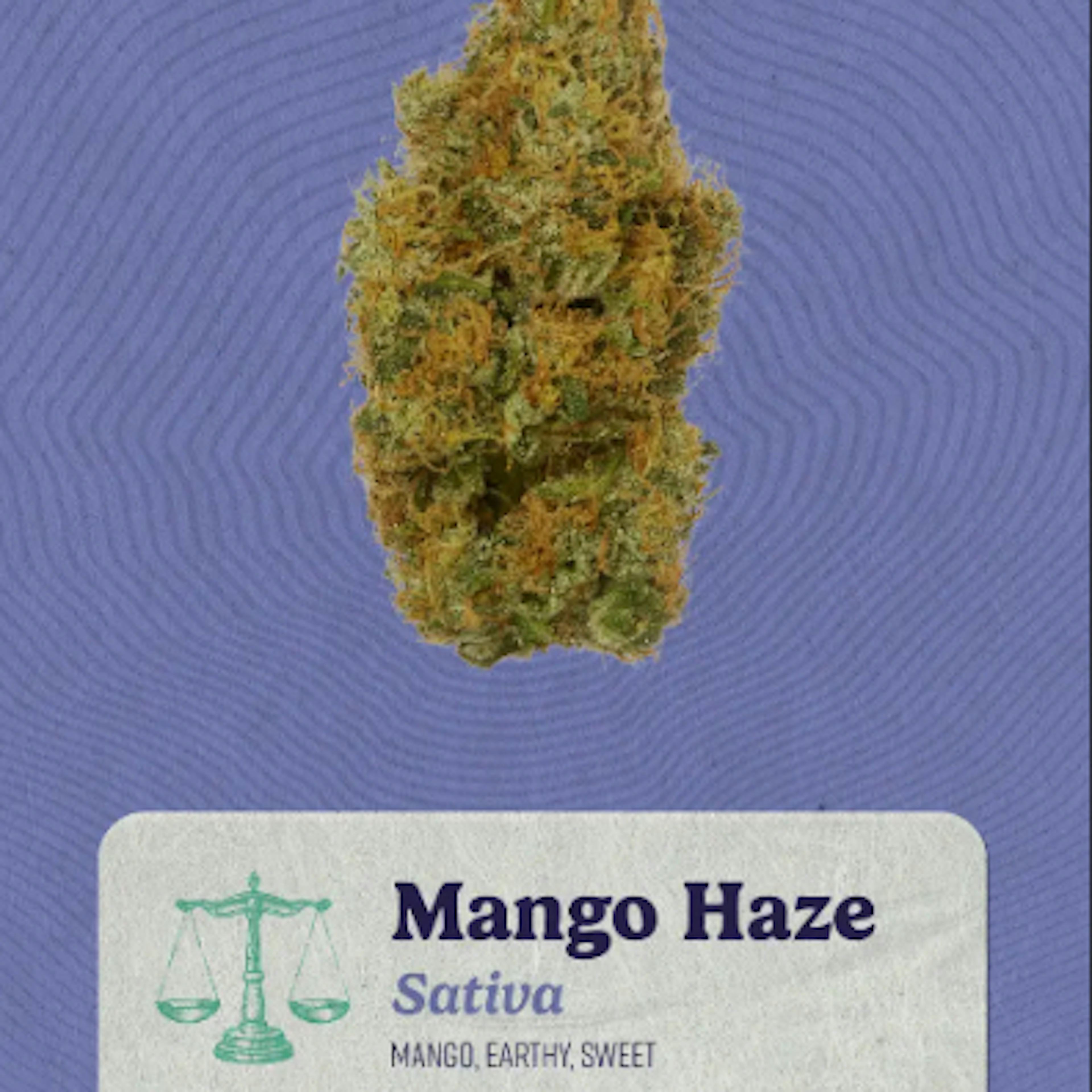 Image of MANGO HAZE | 7G | LITTLES