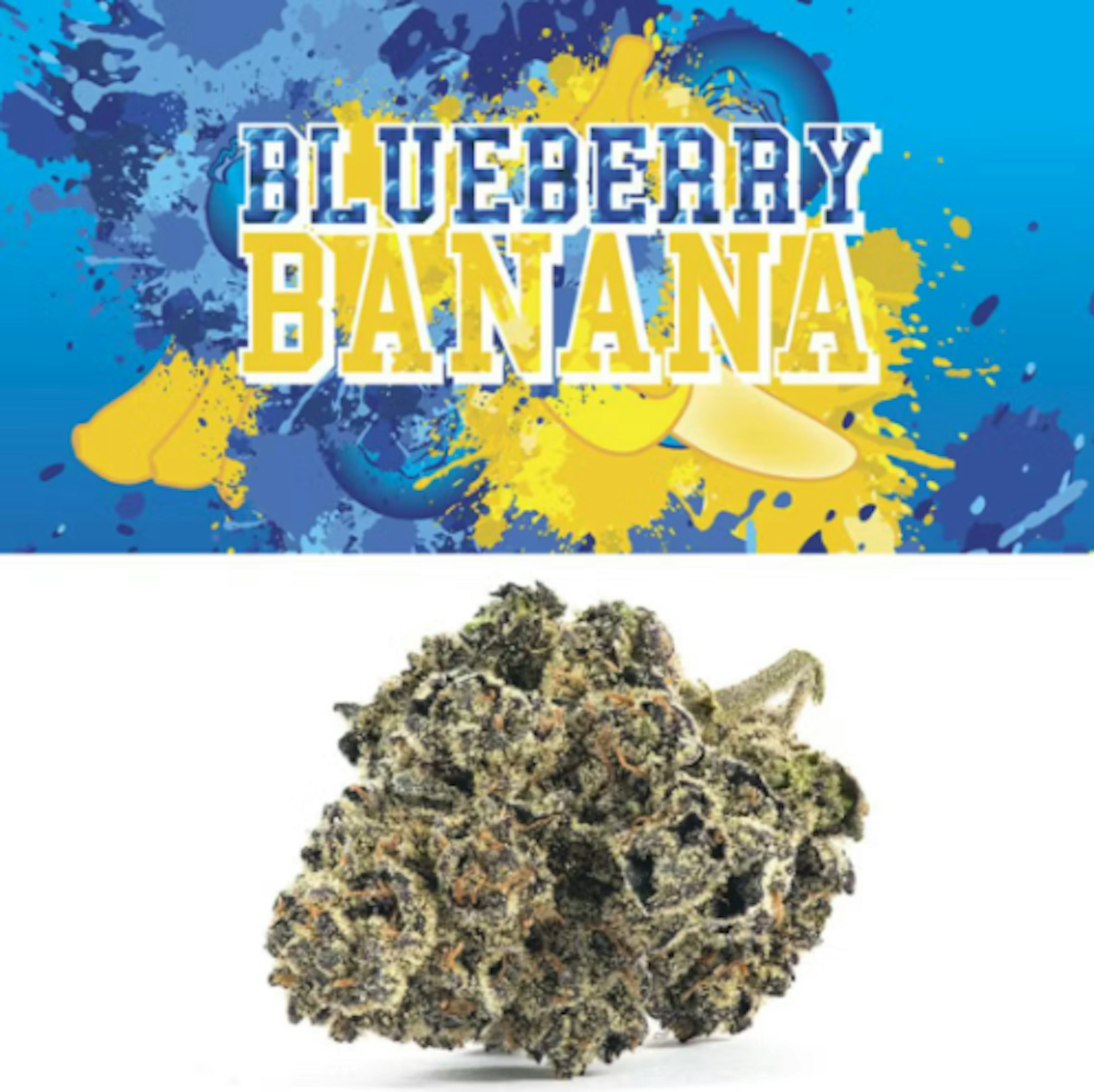 Image of BLUEBERRY BANANA | 7G | LITTLES