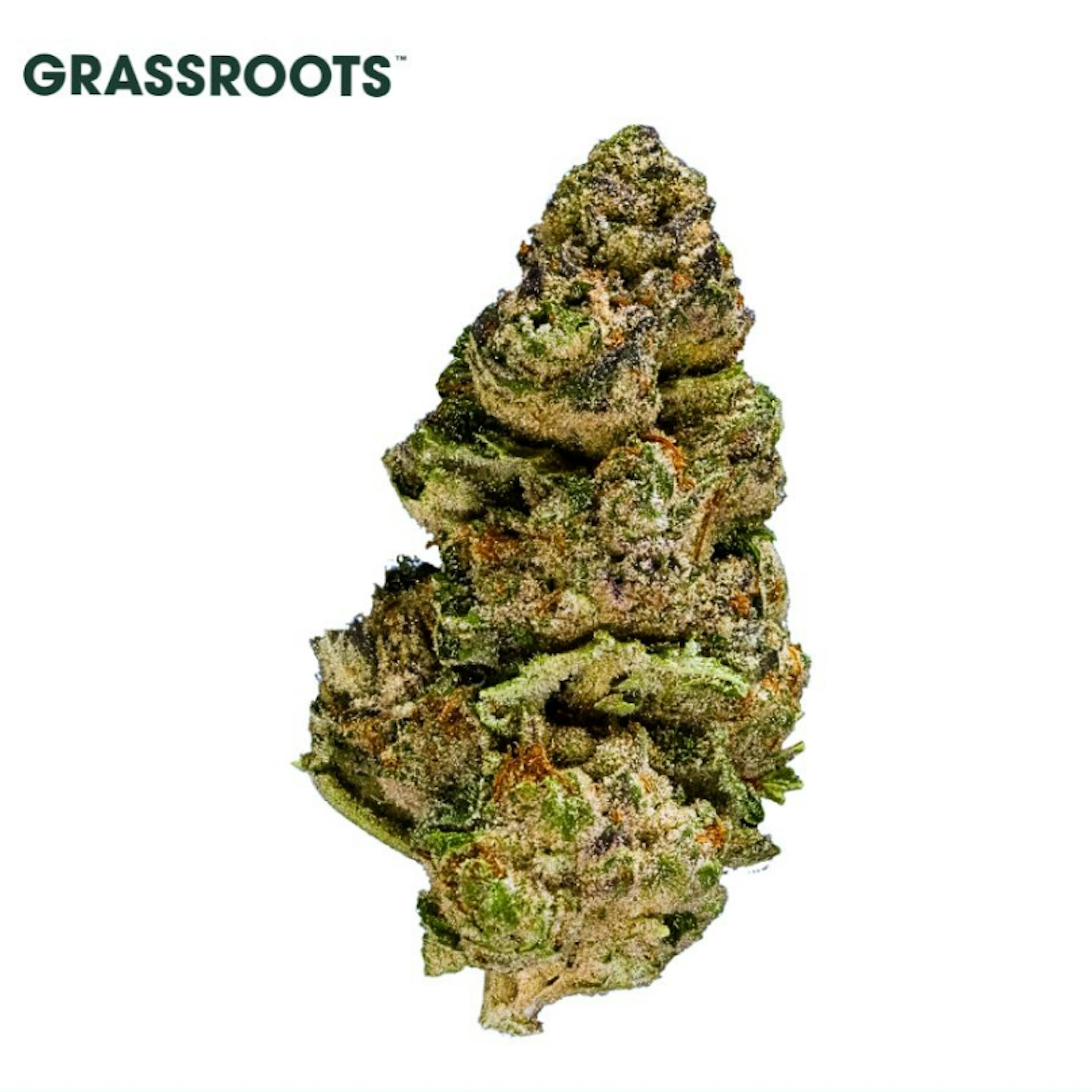 Image of TEXAS SHORELINE #1 | 3.5G WHOLE FLOWER