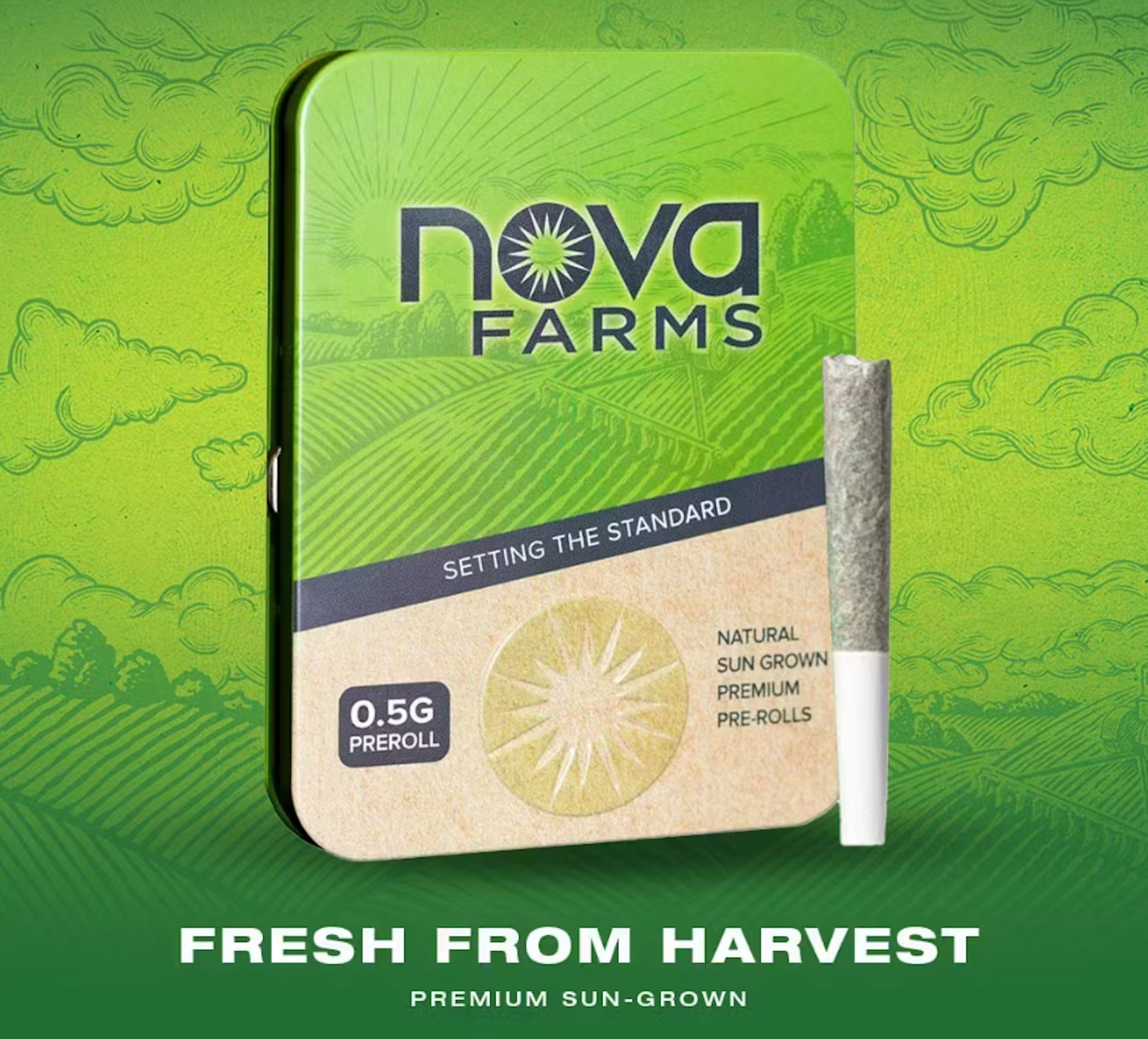 Image of BLACK CHERRY RUNTZ | 5PK PRE ROLL | 2.5G