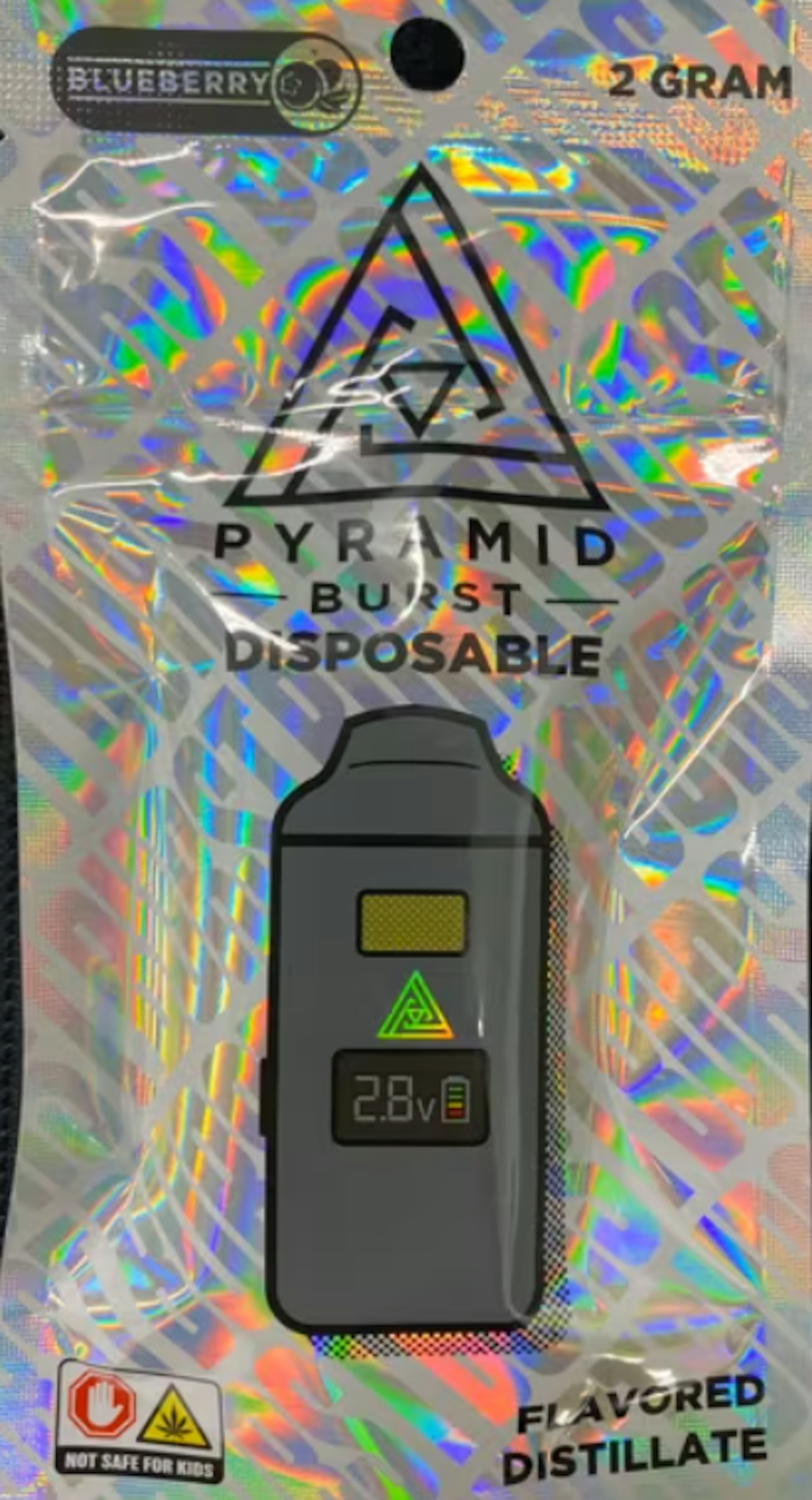 Image of BLUEBERRY | BURST DISPOSABLE | 2G