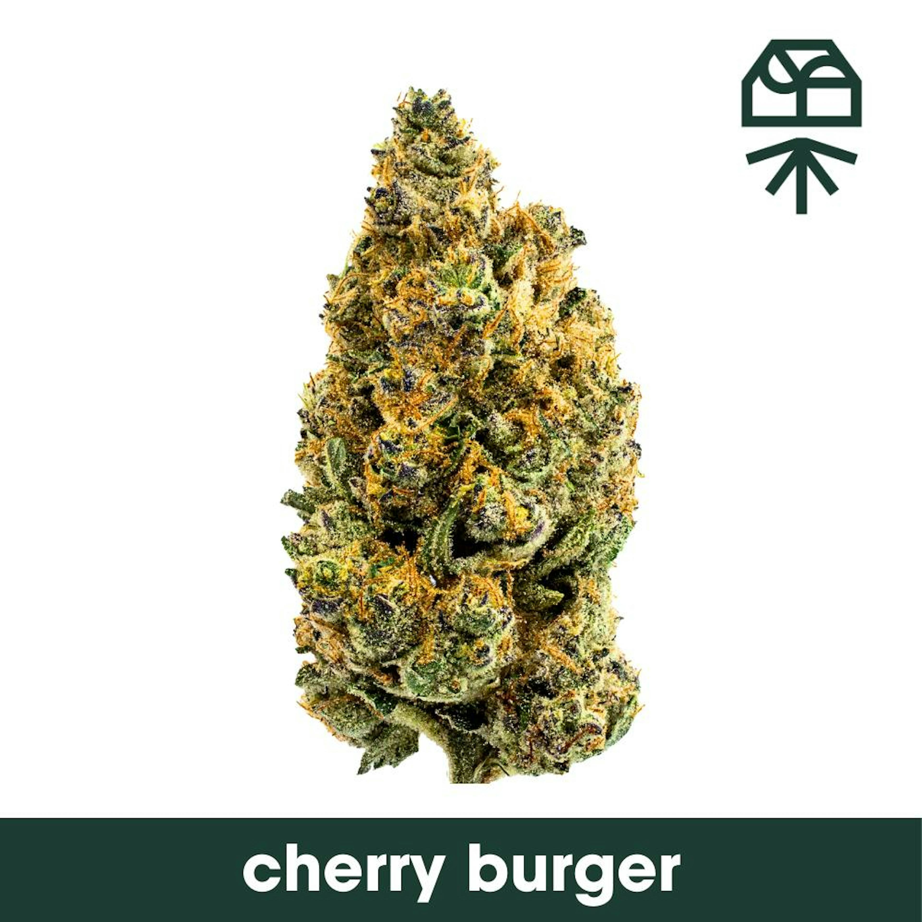 Image of CHERRY BURGER POPCORN | 7G