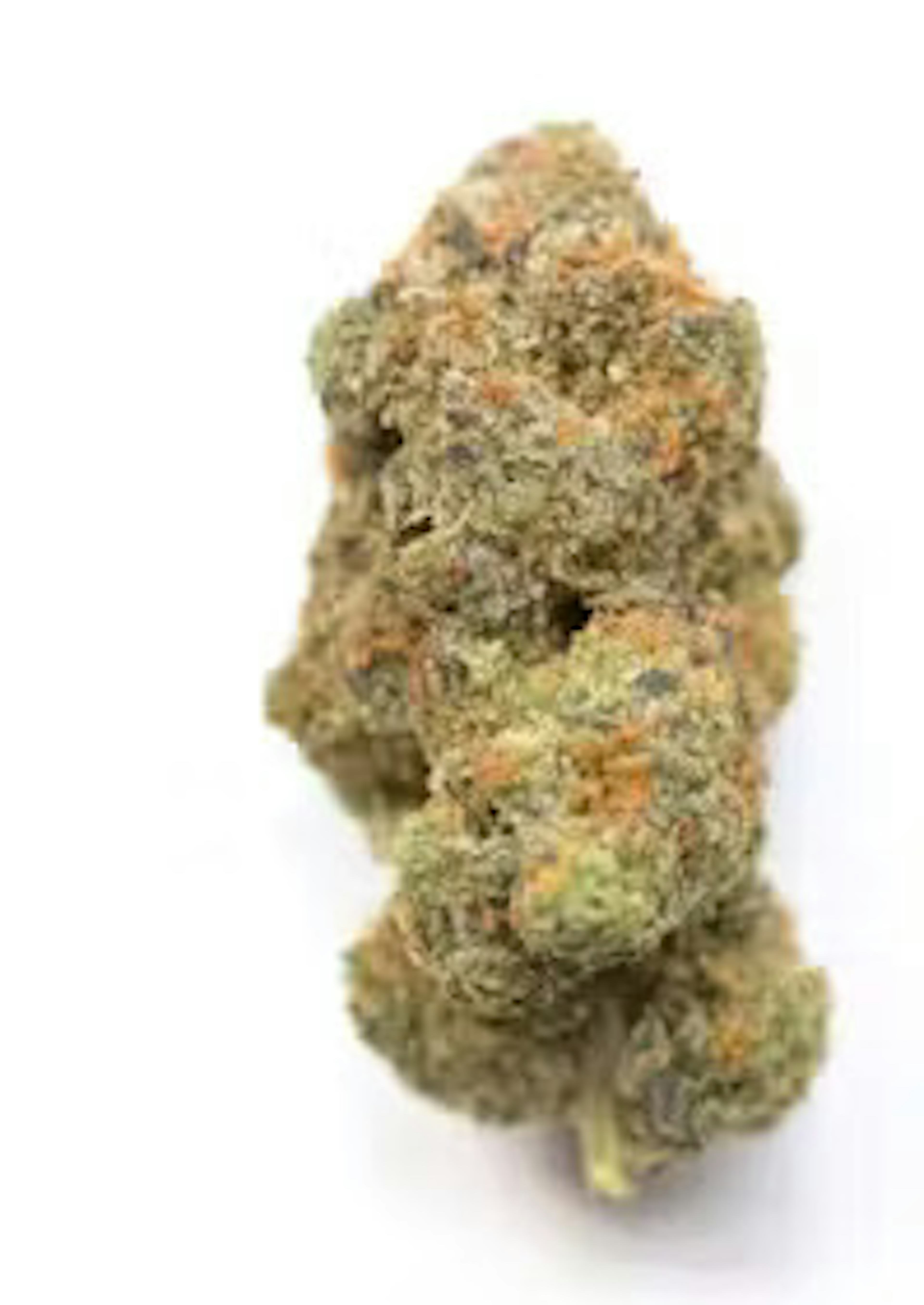 Image of KONG | 3.5G