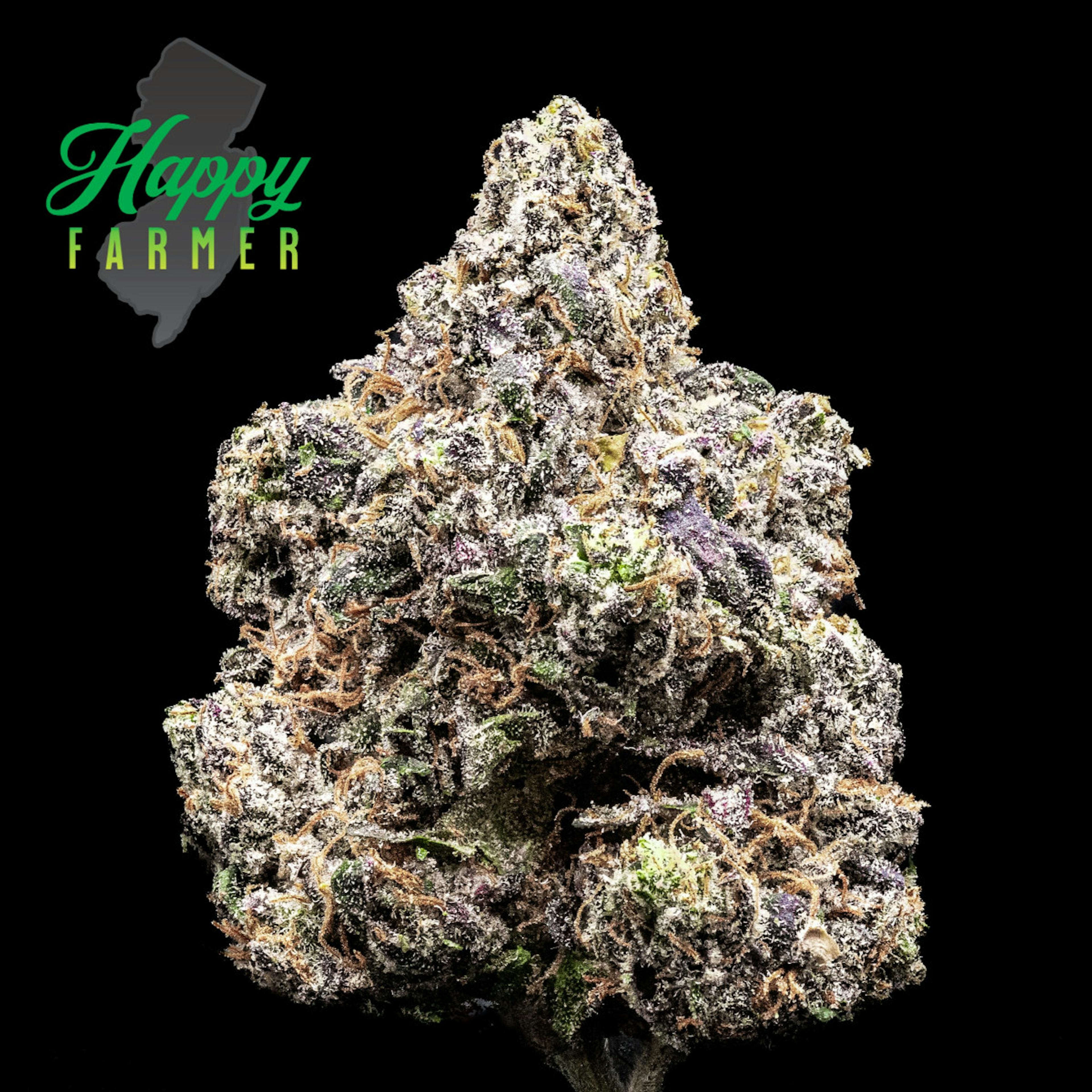 Image of RED VELVET GARY | 3.5G