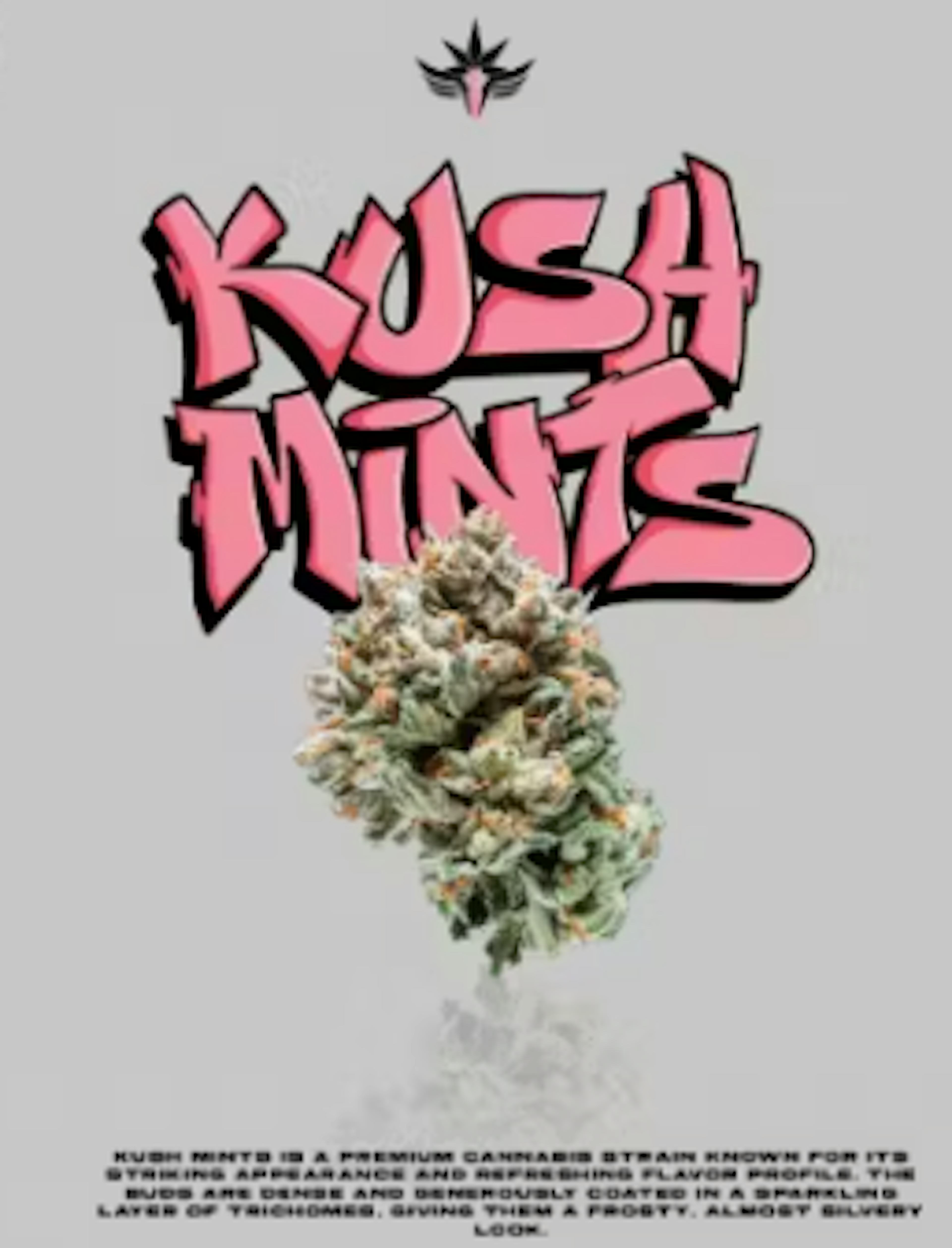 Image of KUSH MINTS | 5 PACK