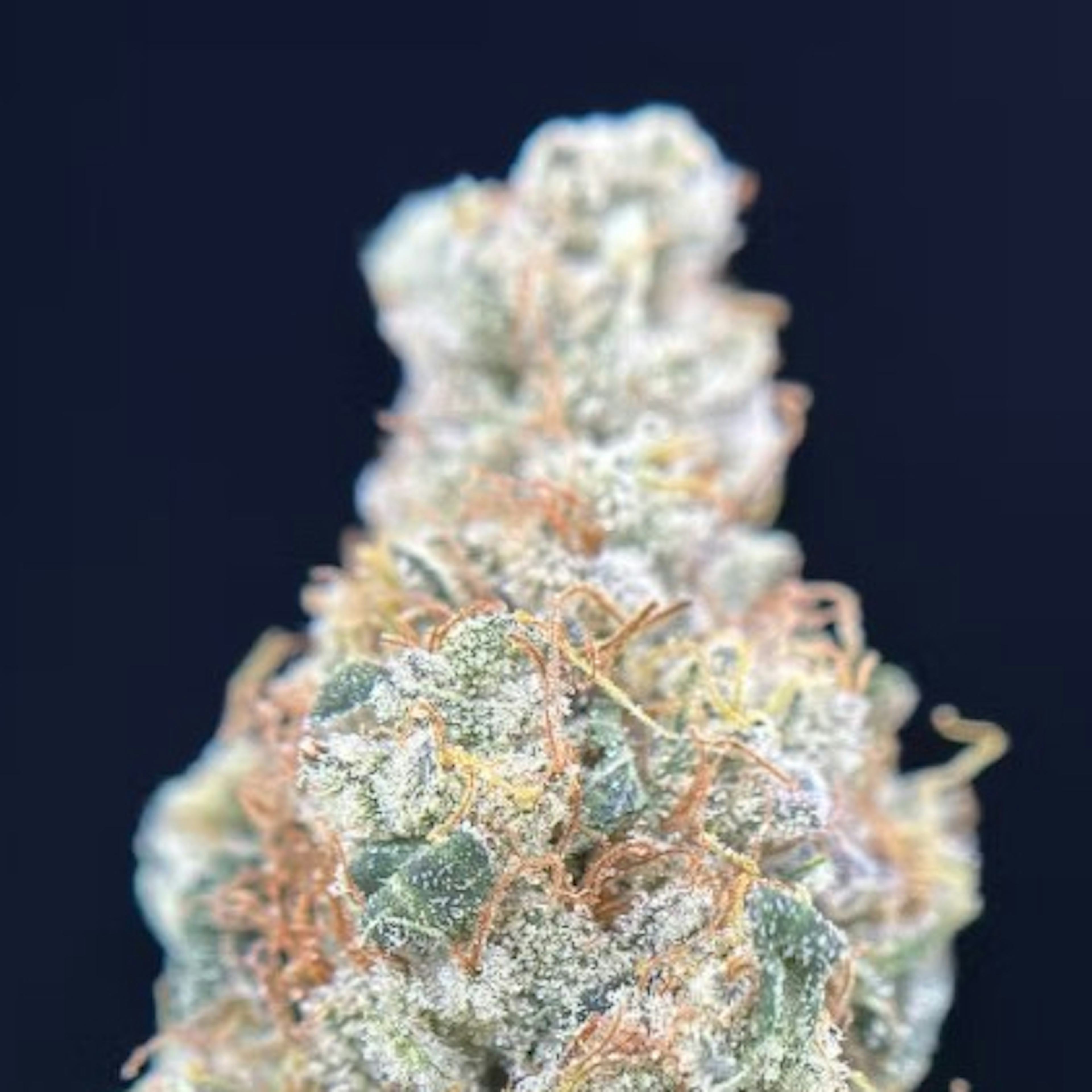 Image of CAP JUNKY | 3.5G