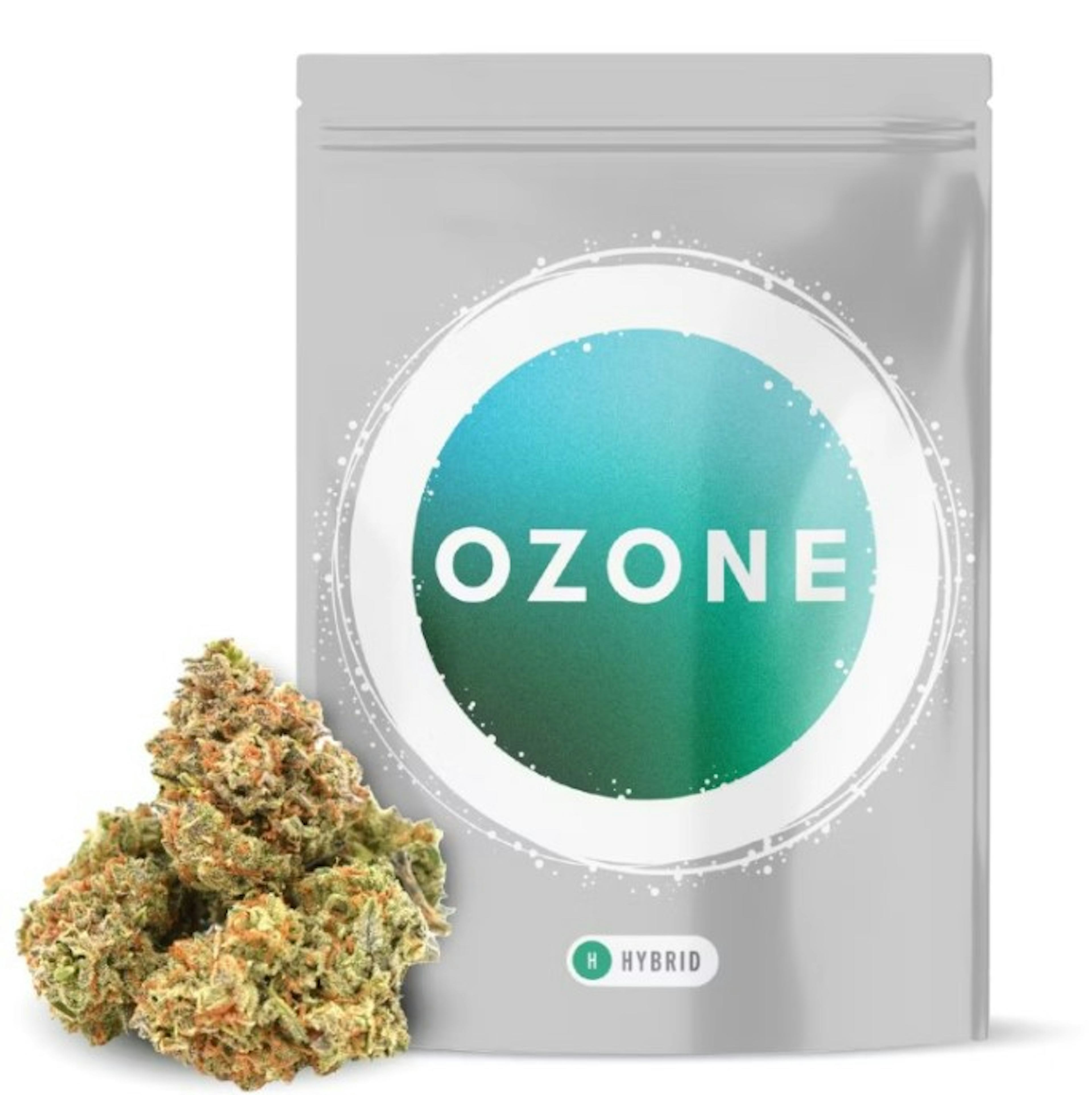 Image of MARTIAN MINTZ | 3.5G