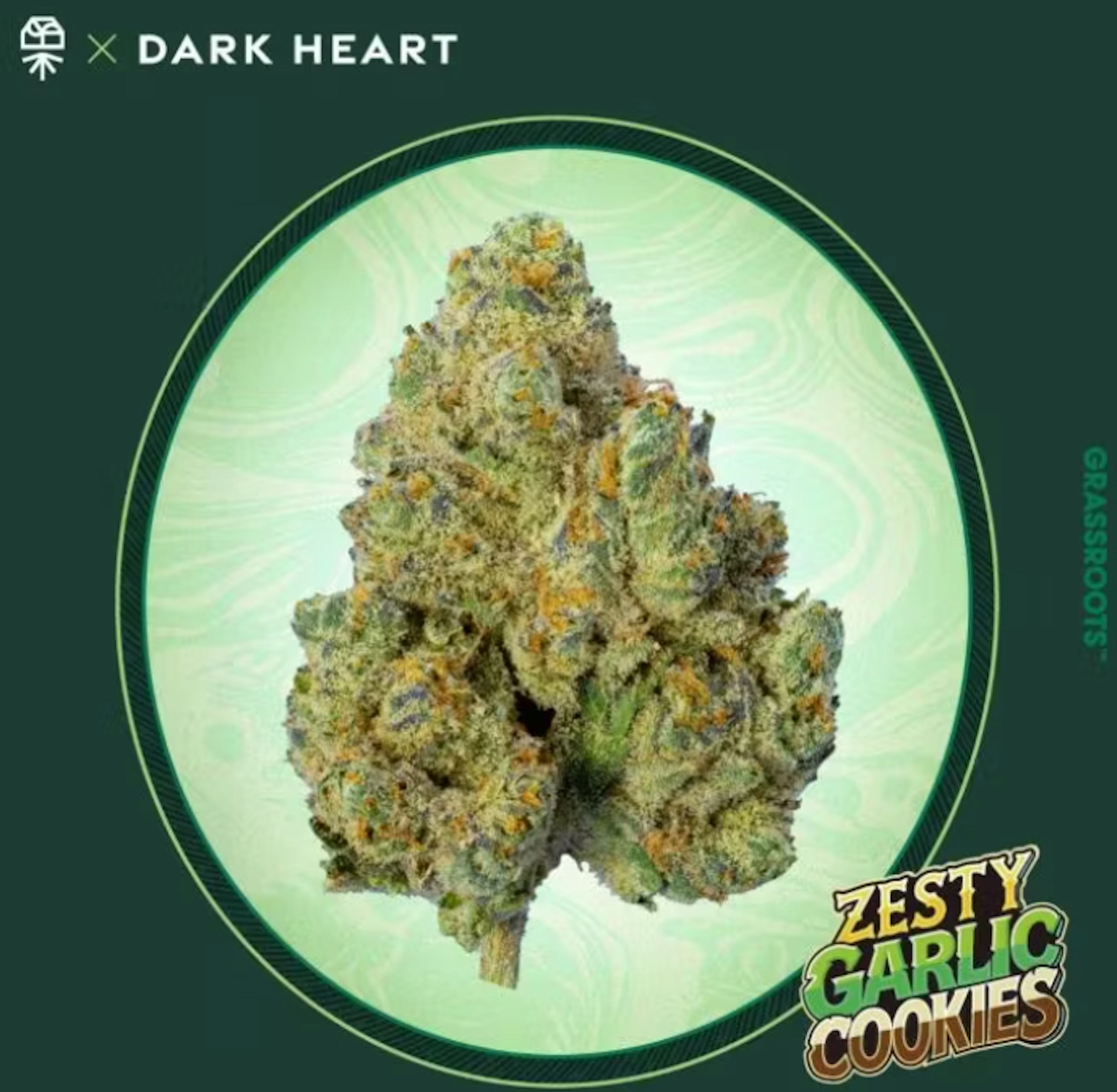 Image of ZESTY GARLIC COOKIES | DIME BAG | 1G