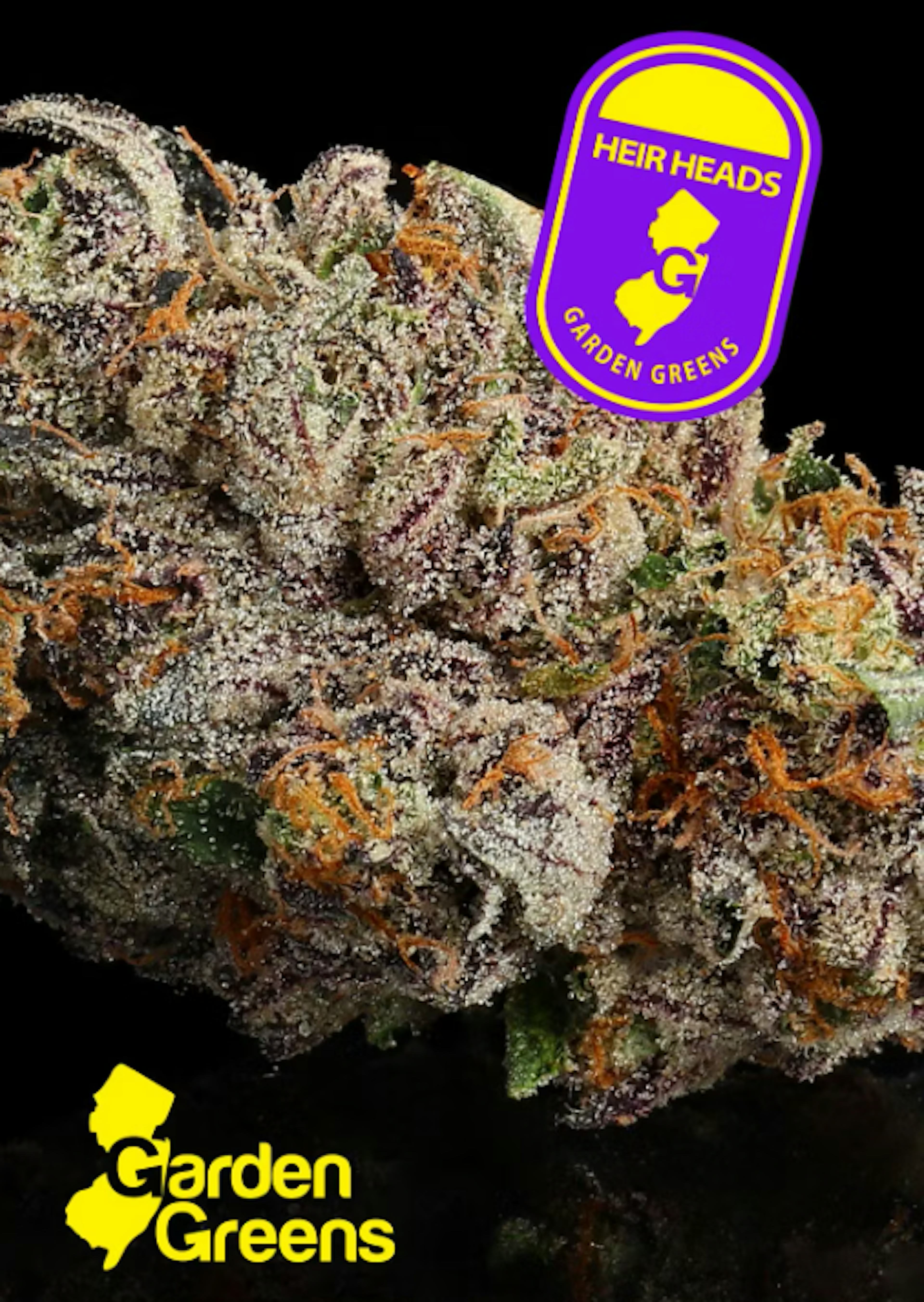 Image of HEIR HEADS | MIXED NUGS | 14G