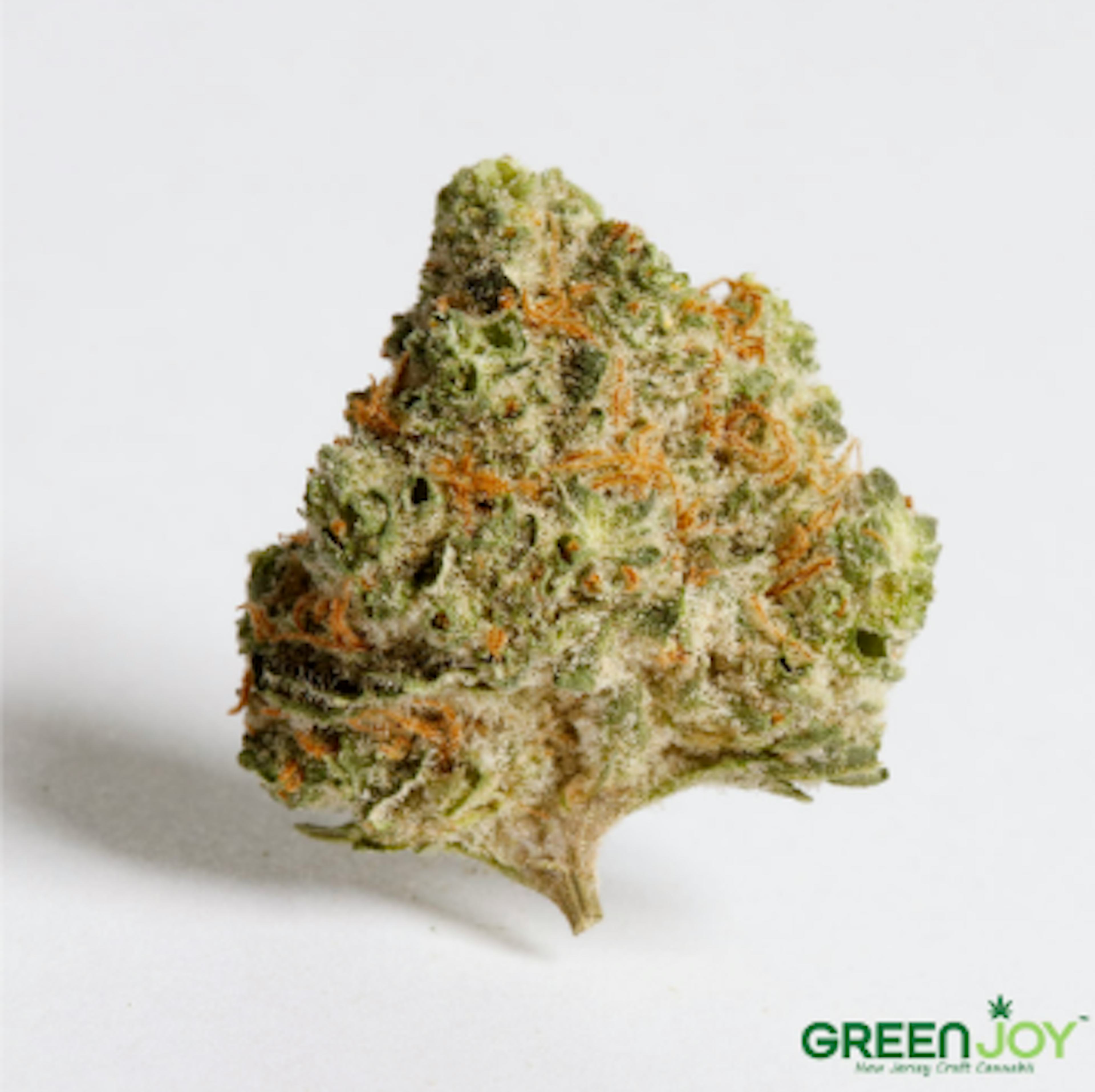 Image of FRUITY GUM | 3.5G