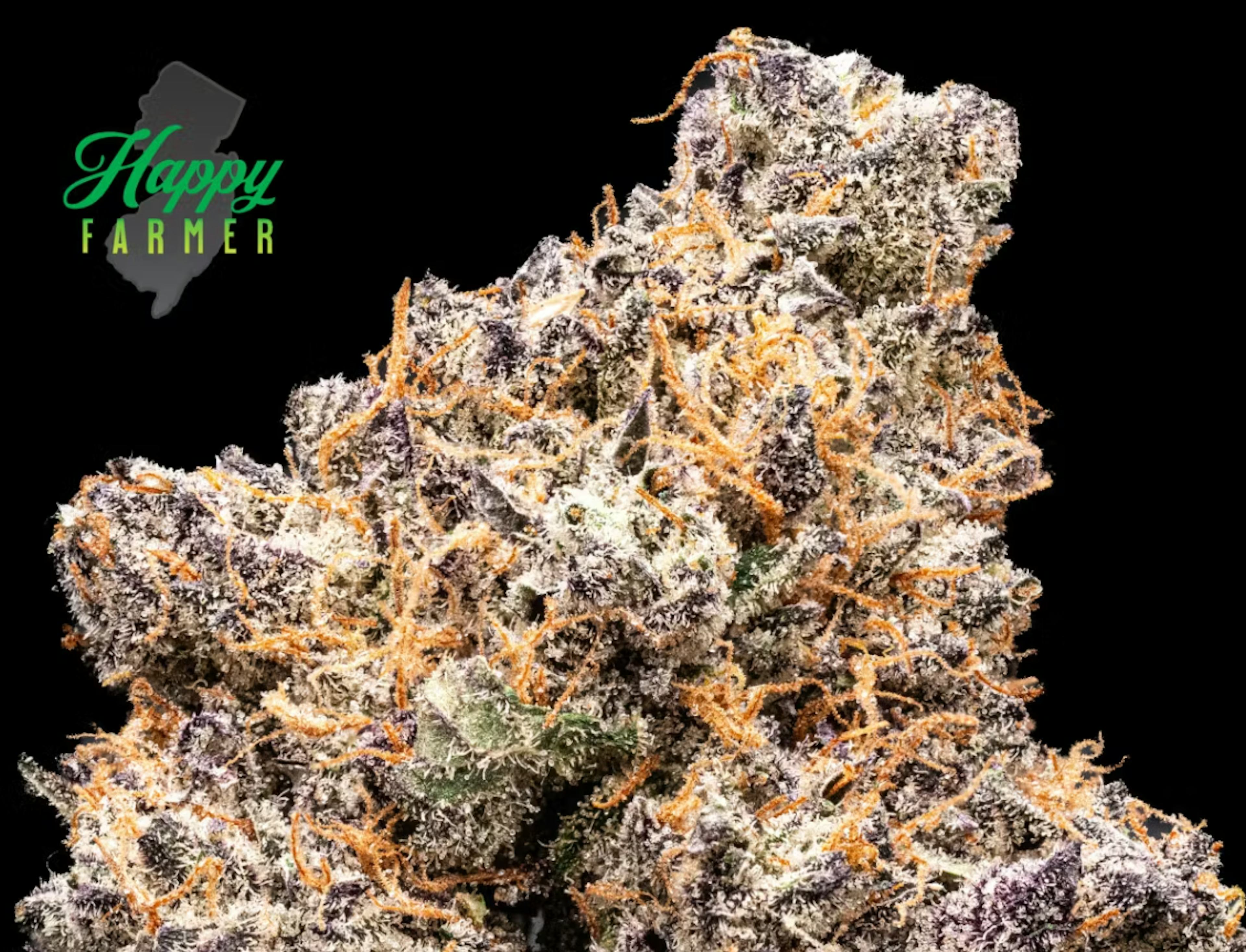 Image of CINNABONZ | 3.5G