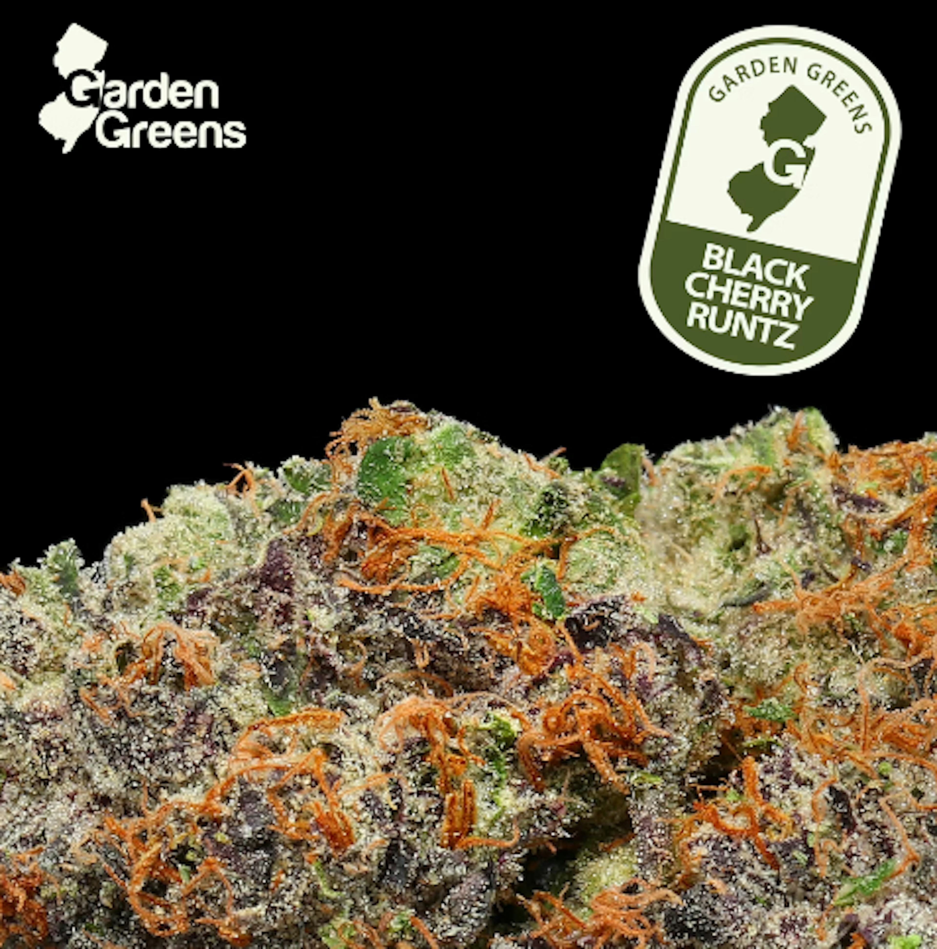 Image of BLACK CHERRY RUNTZ | 3.5G