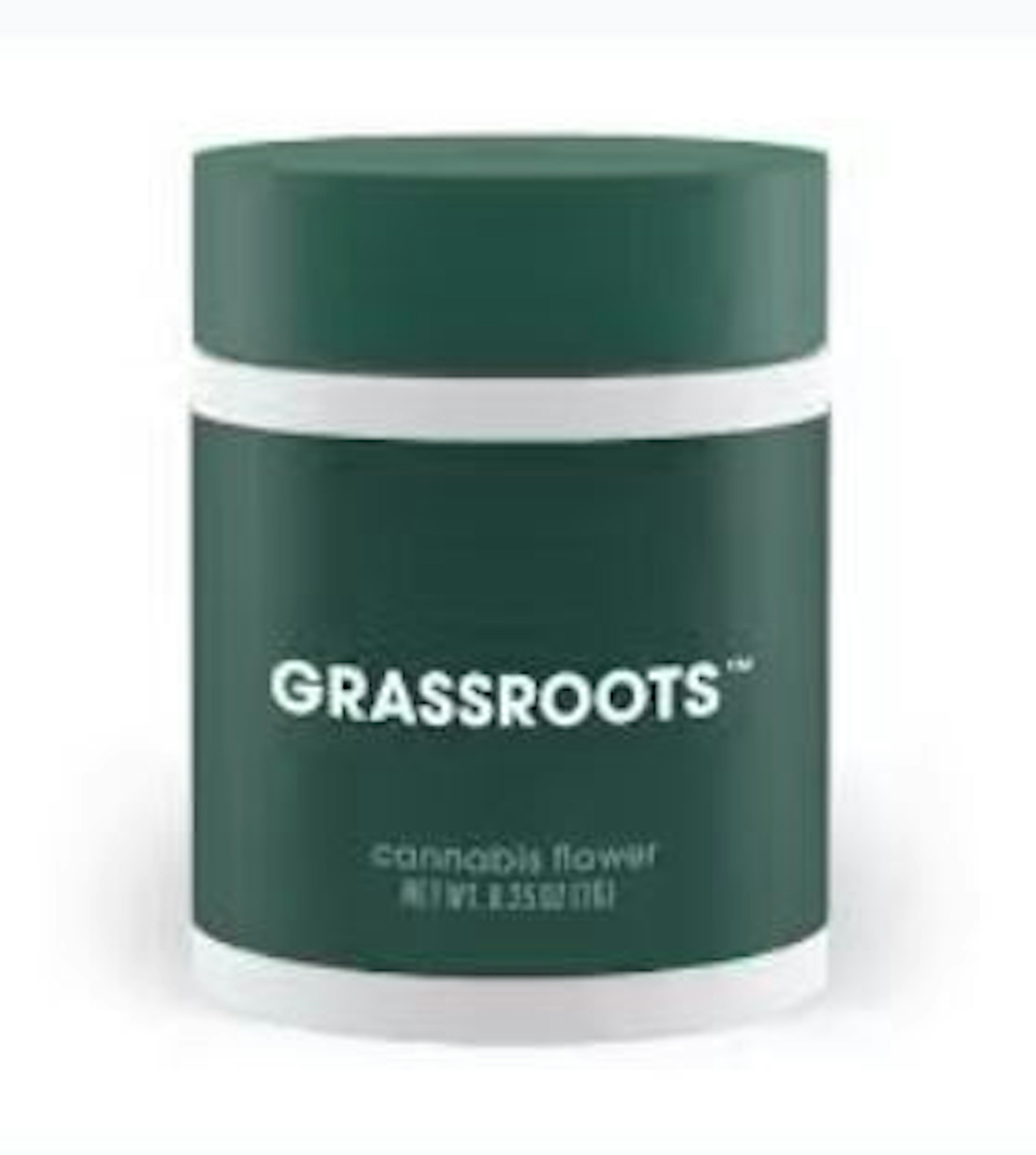 Image of DOSIDO SHERBERT | 3.5G | WHOLE FLOWER