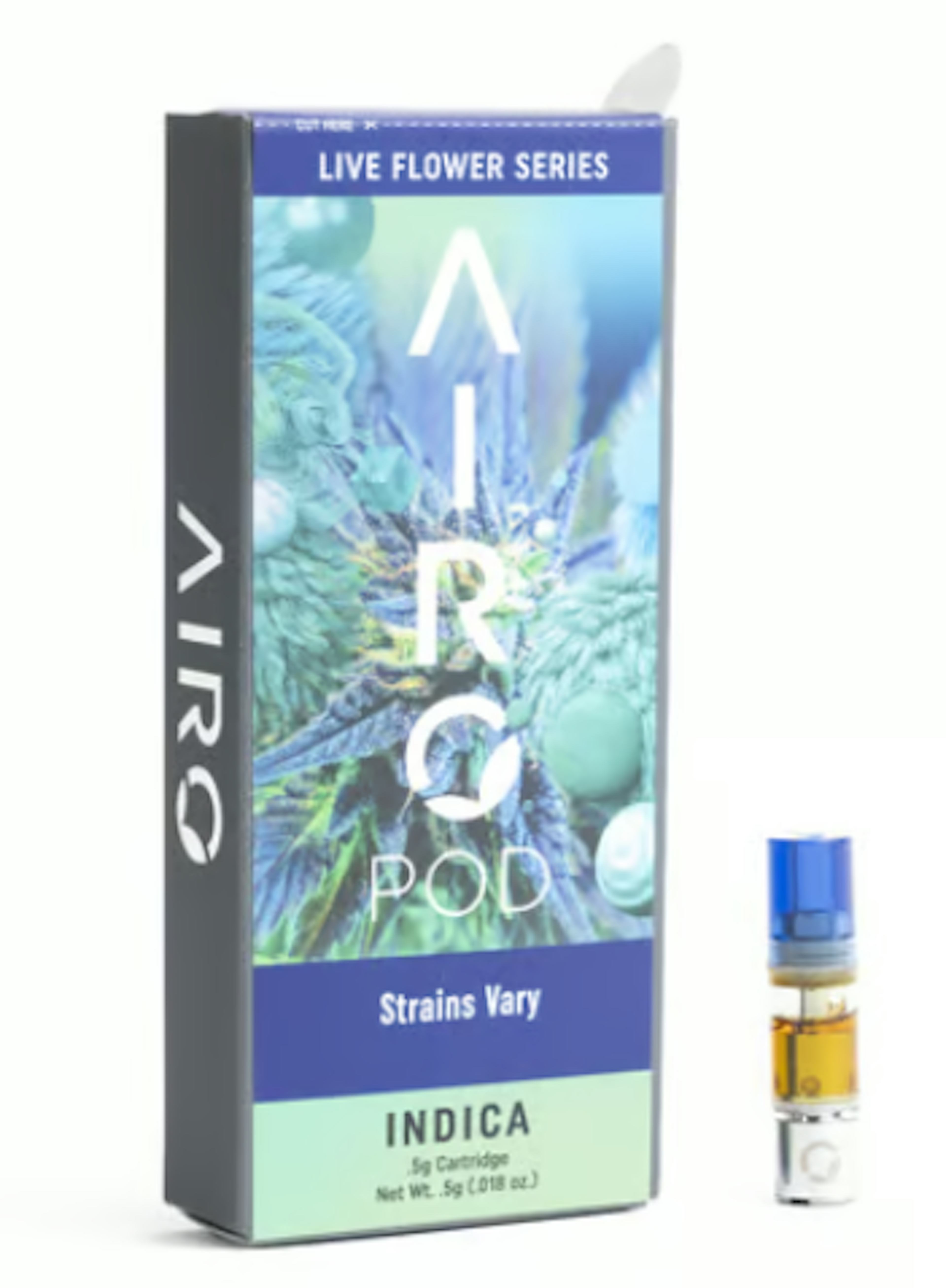 Image of GARLIC ICING | LIVE FLOWER | 0.5G