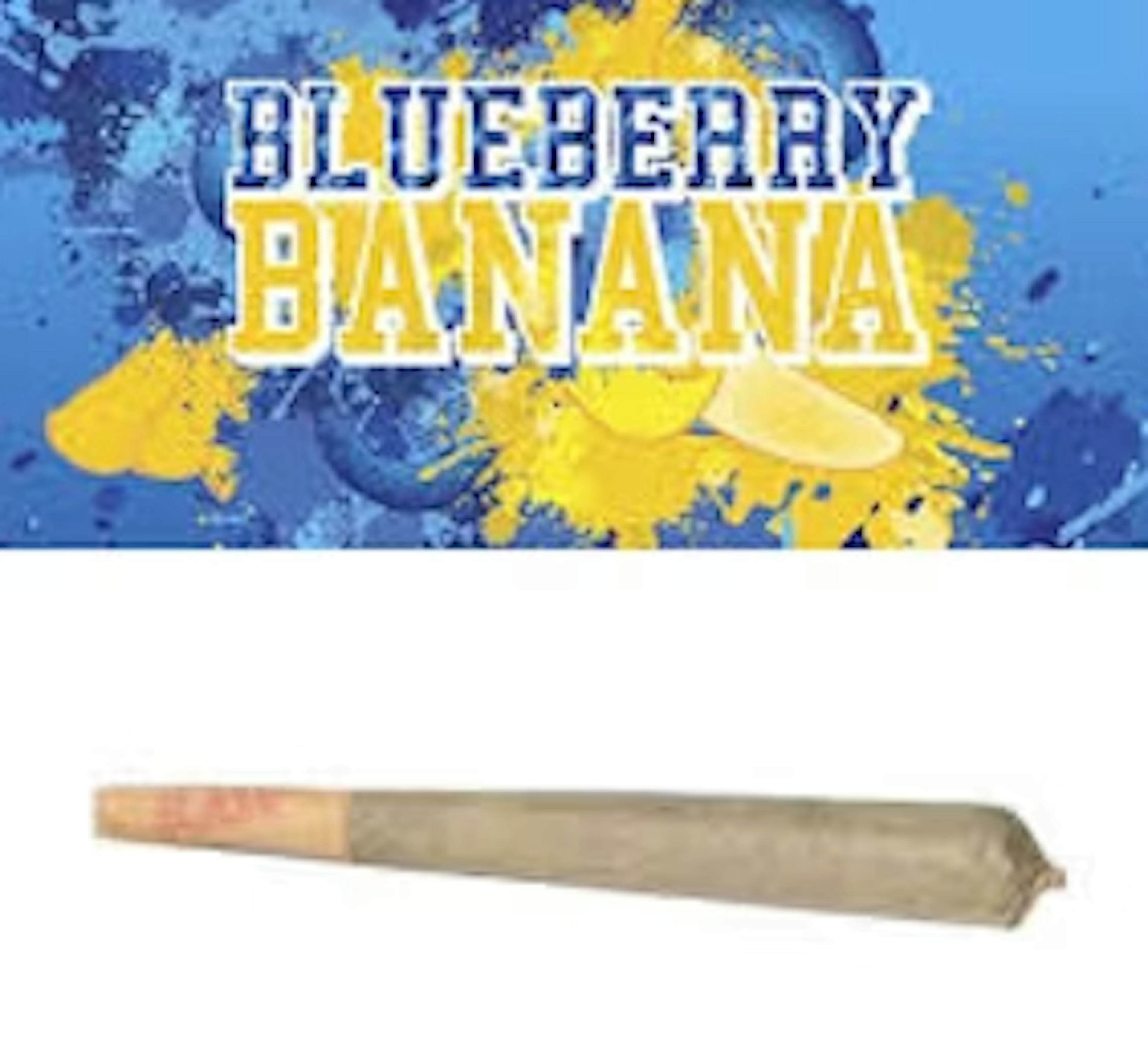 Image of BLUEBERRY BANANA | 2-PK | 1G