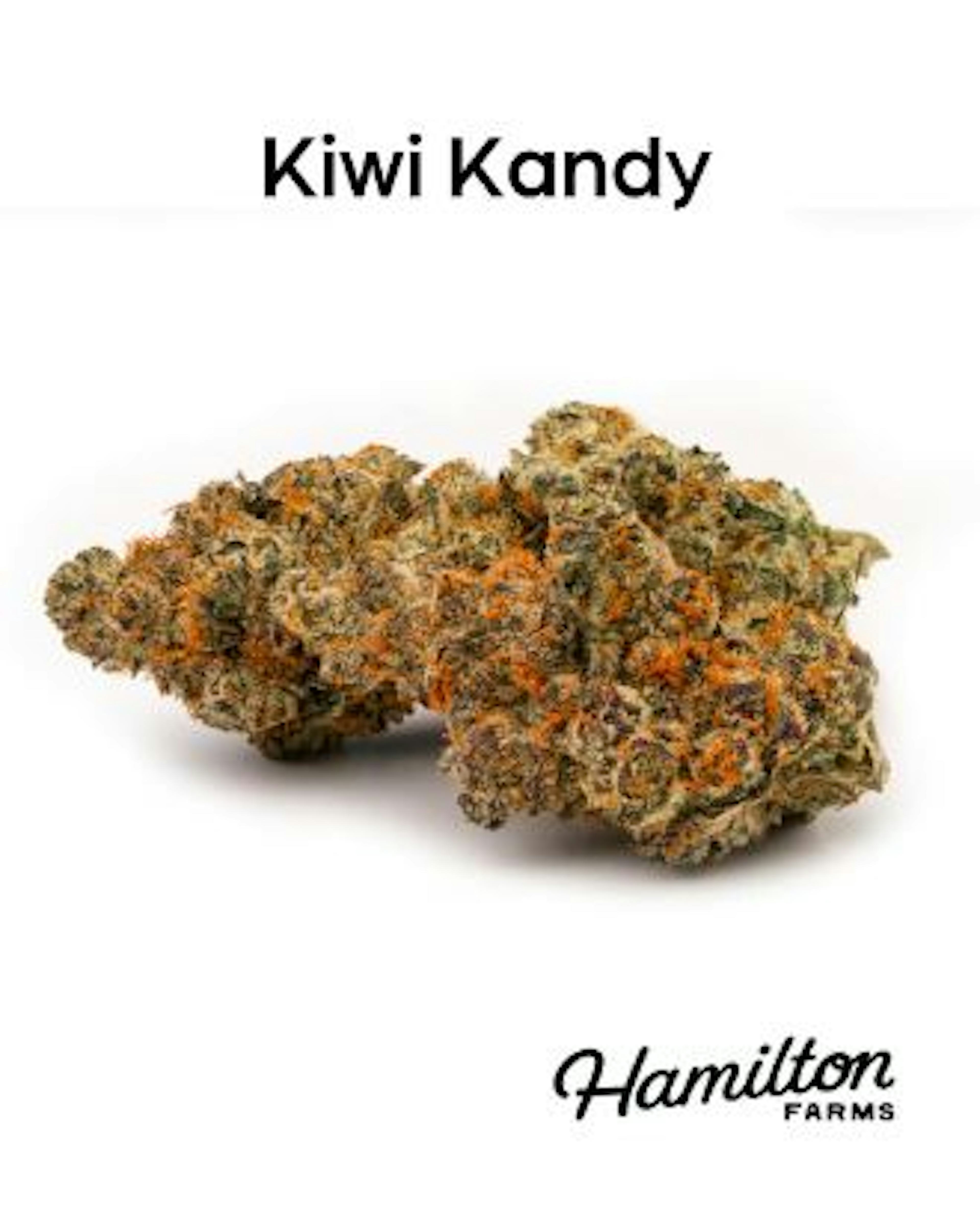 Image of KIWI KANDY | 3.5G
