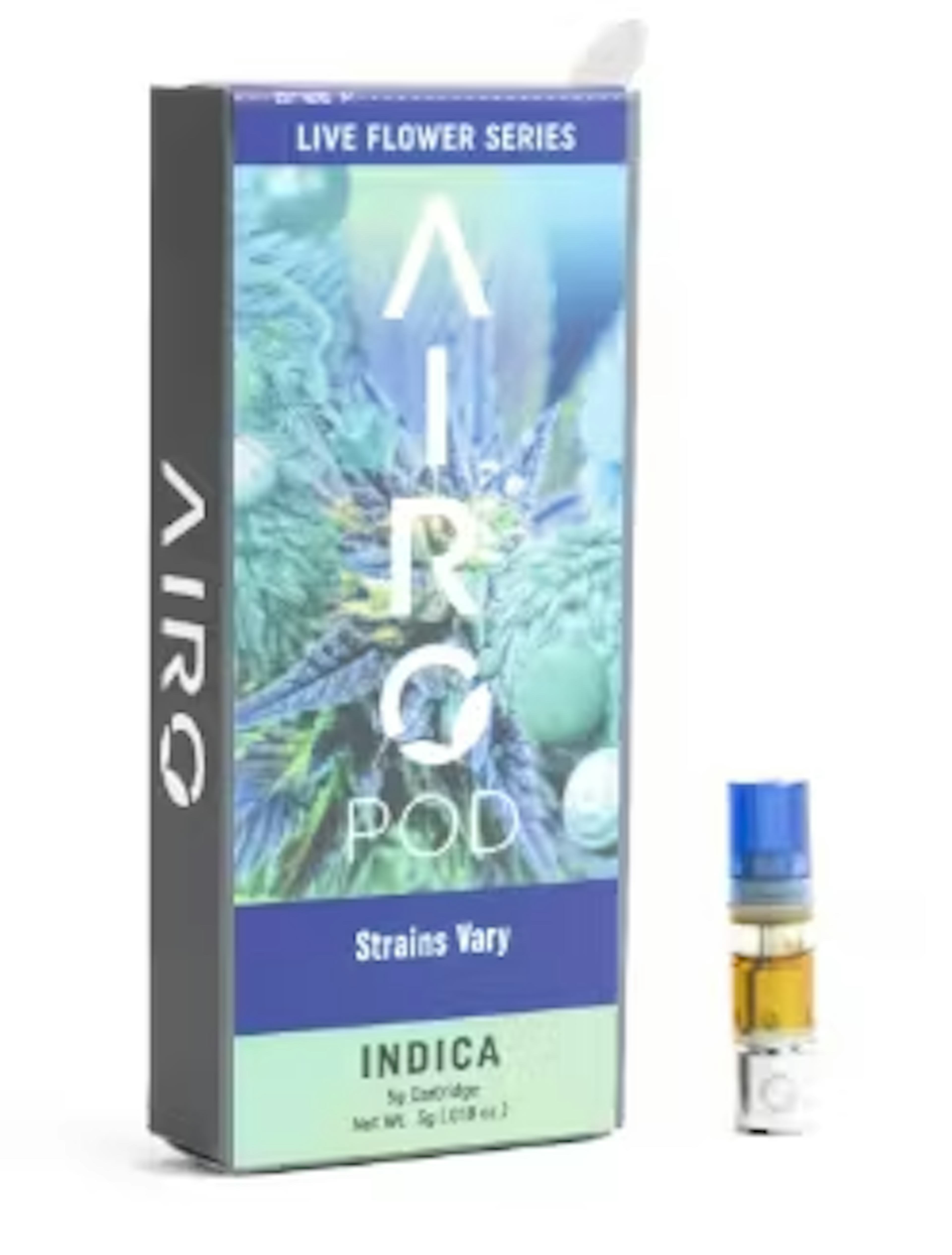 Image of GARLIC ICING | LIVE FLOWER | 1G