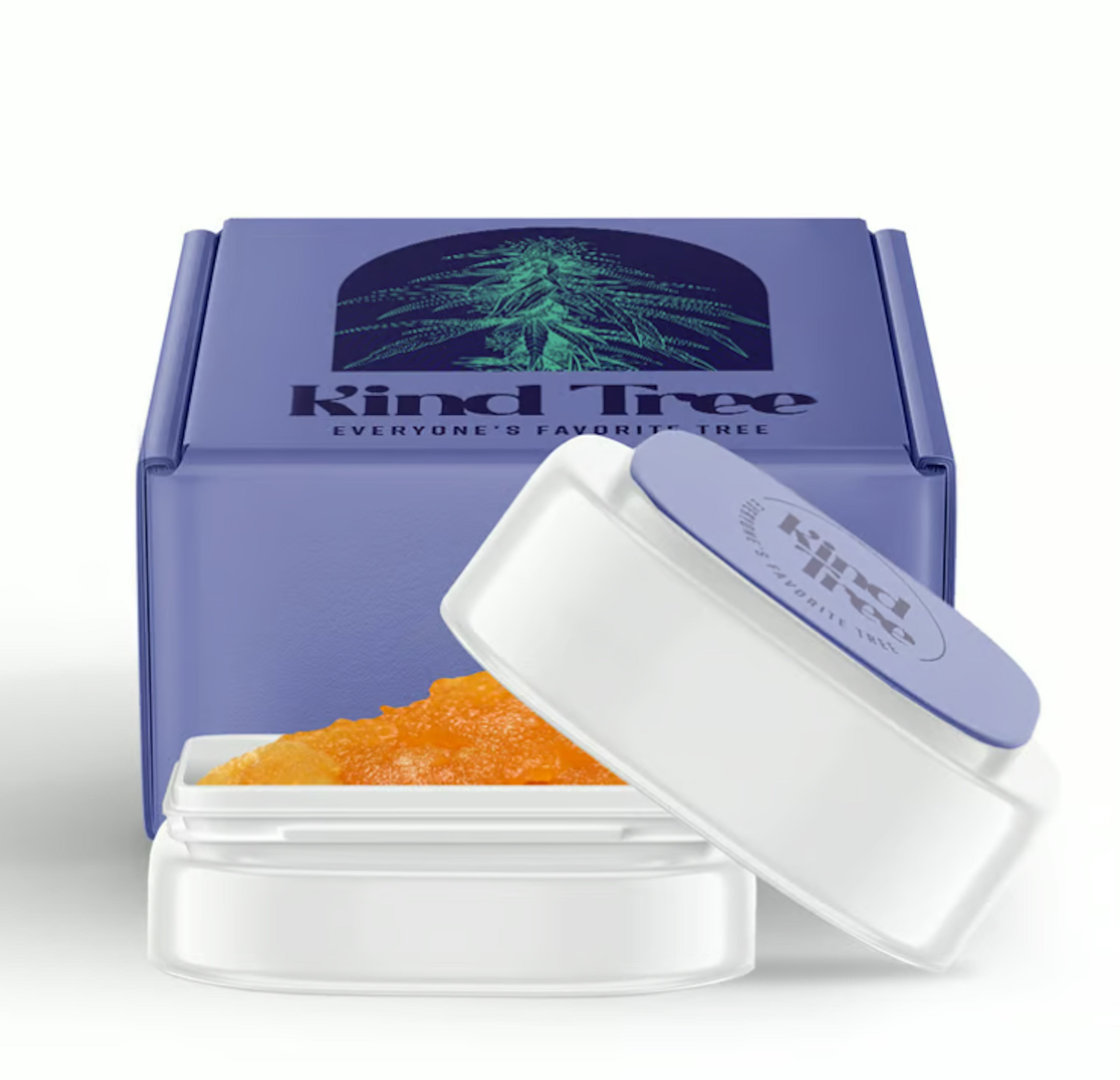 Image of SHADY LADY | 1G | LIVE RESIN BADDER