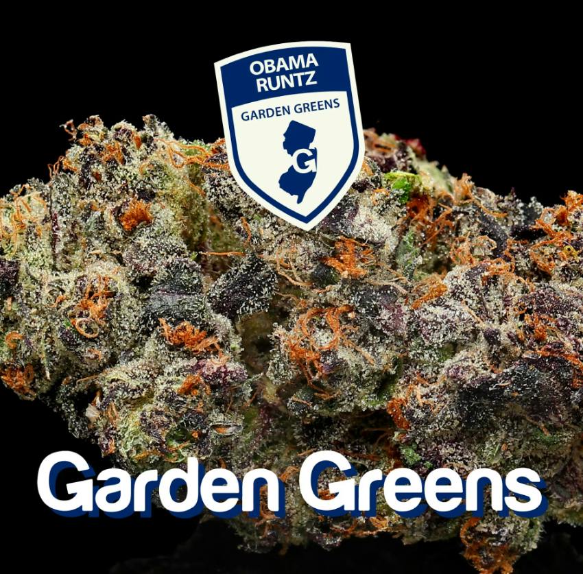 OBAMA RUNTZ | MIXED BUDS | 14G - 14g | Flower | GARDEN GREENS ...