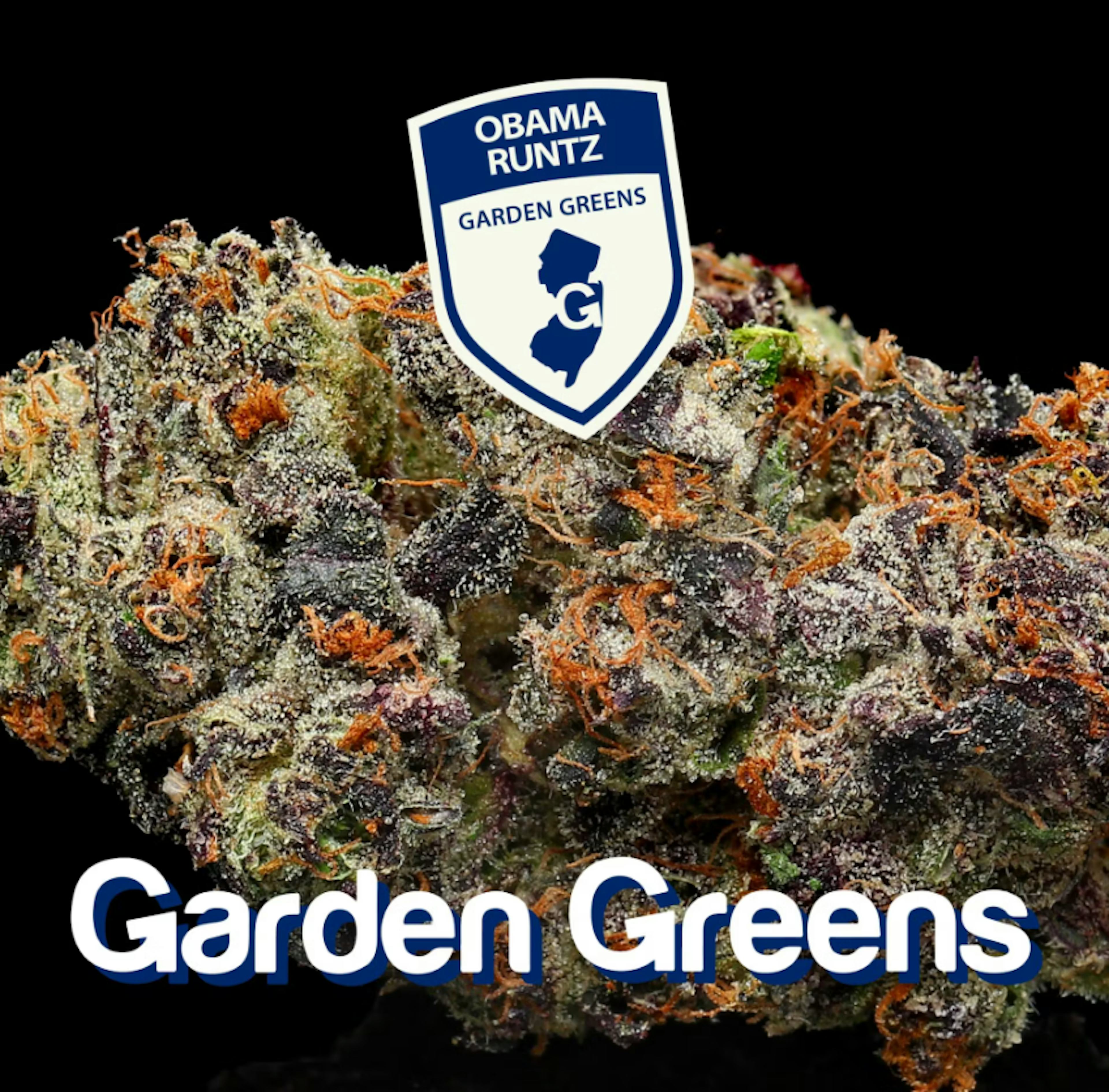 Image of OBAMA RUNTZ | MIXED BUDS | 14G